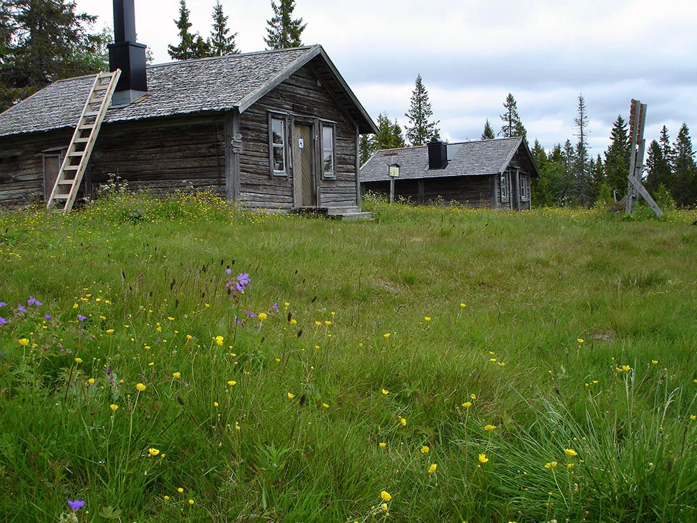 Photo showing: Västanåhöjden shielings, Ångermanland, Sweden.