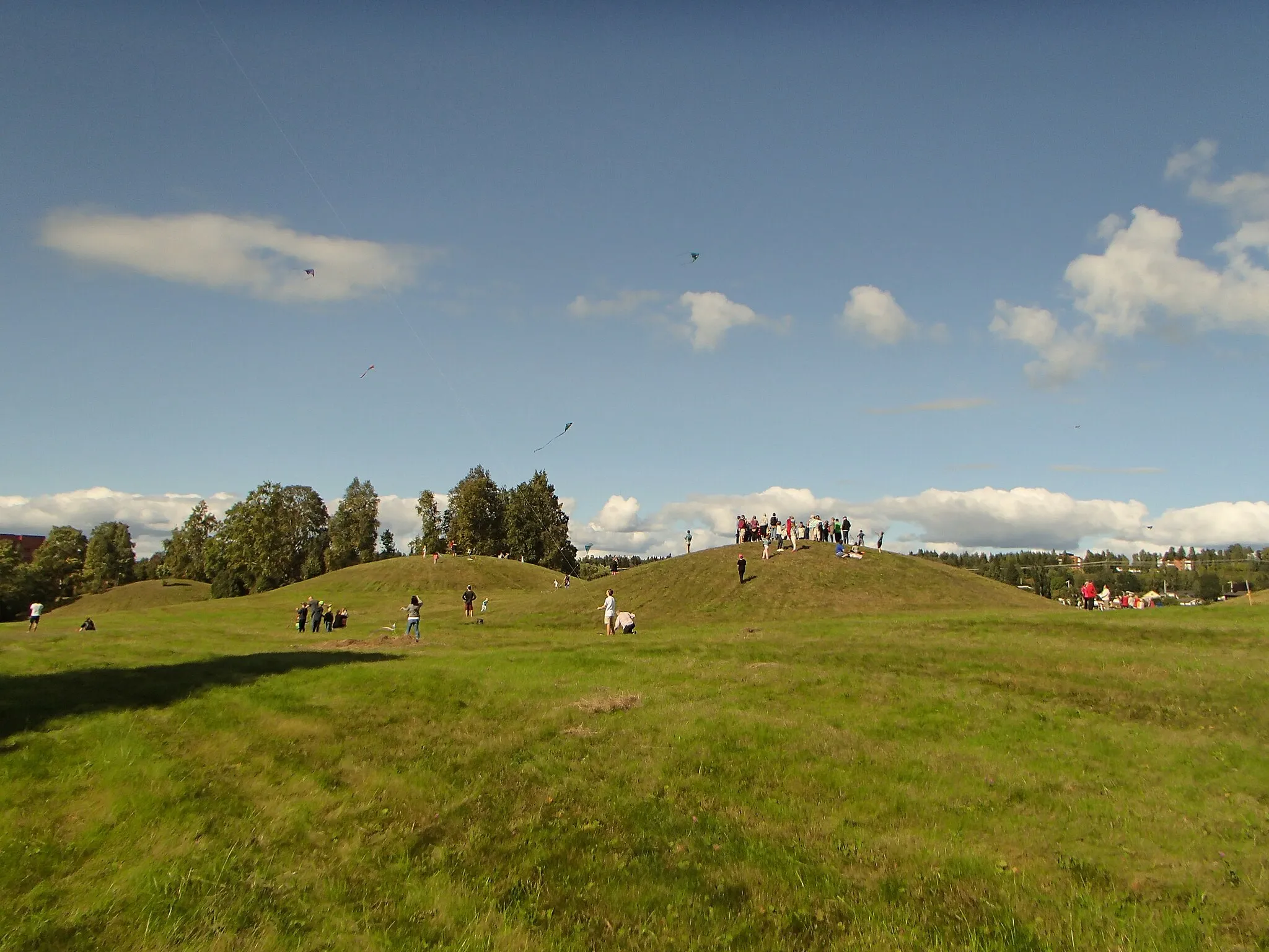 Photo showing: Grave field Selånger 1:1 at Högom in Sundsvall Municipality