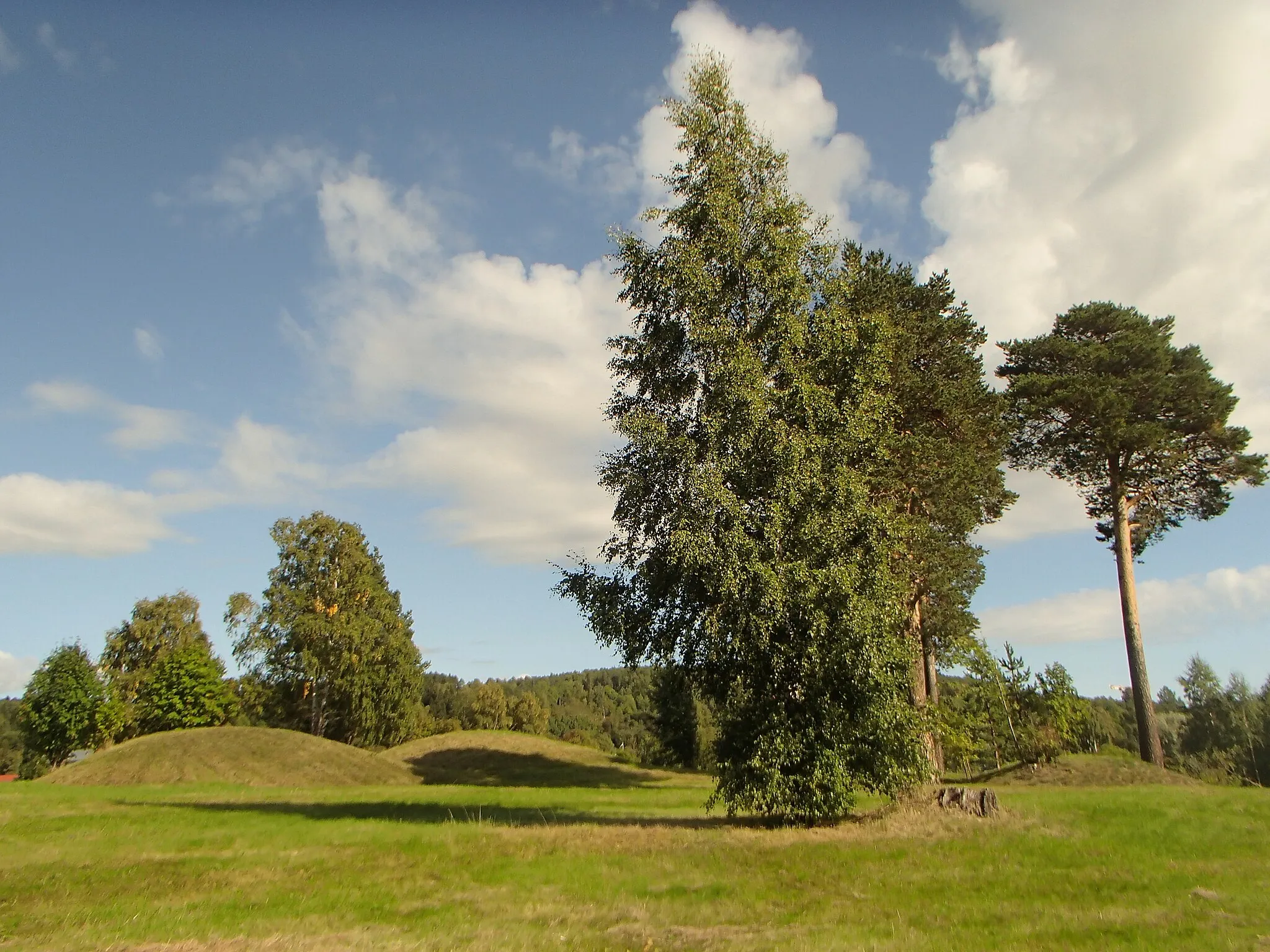 Photo showing: Grave field Selånger 1:1 at Högom in Sundsvall Municipality