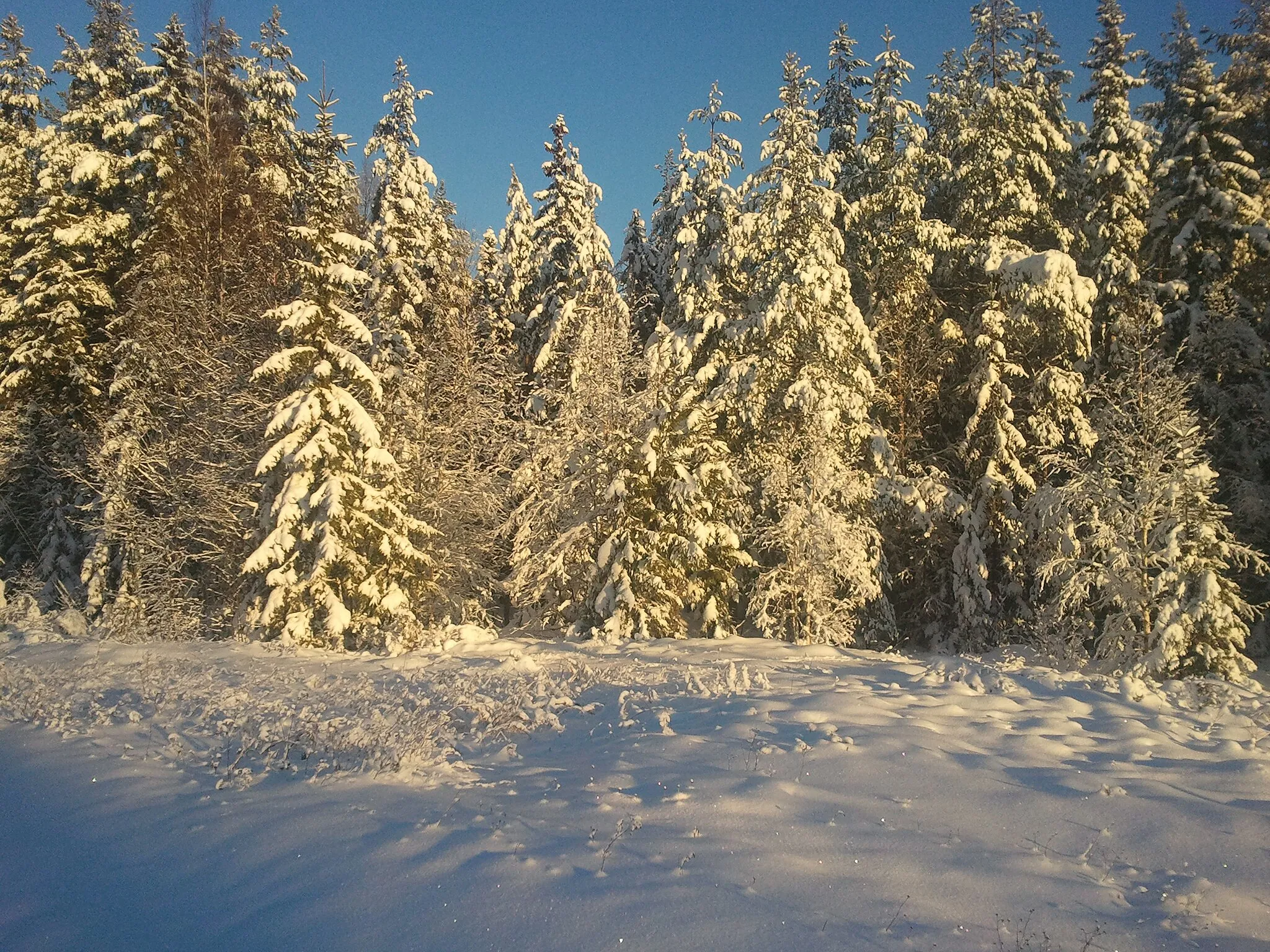 Photo showing: Ett vinterlandskap i byn Huli som finns i Sundsvalls kommun.