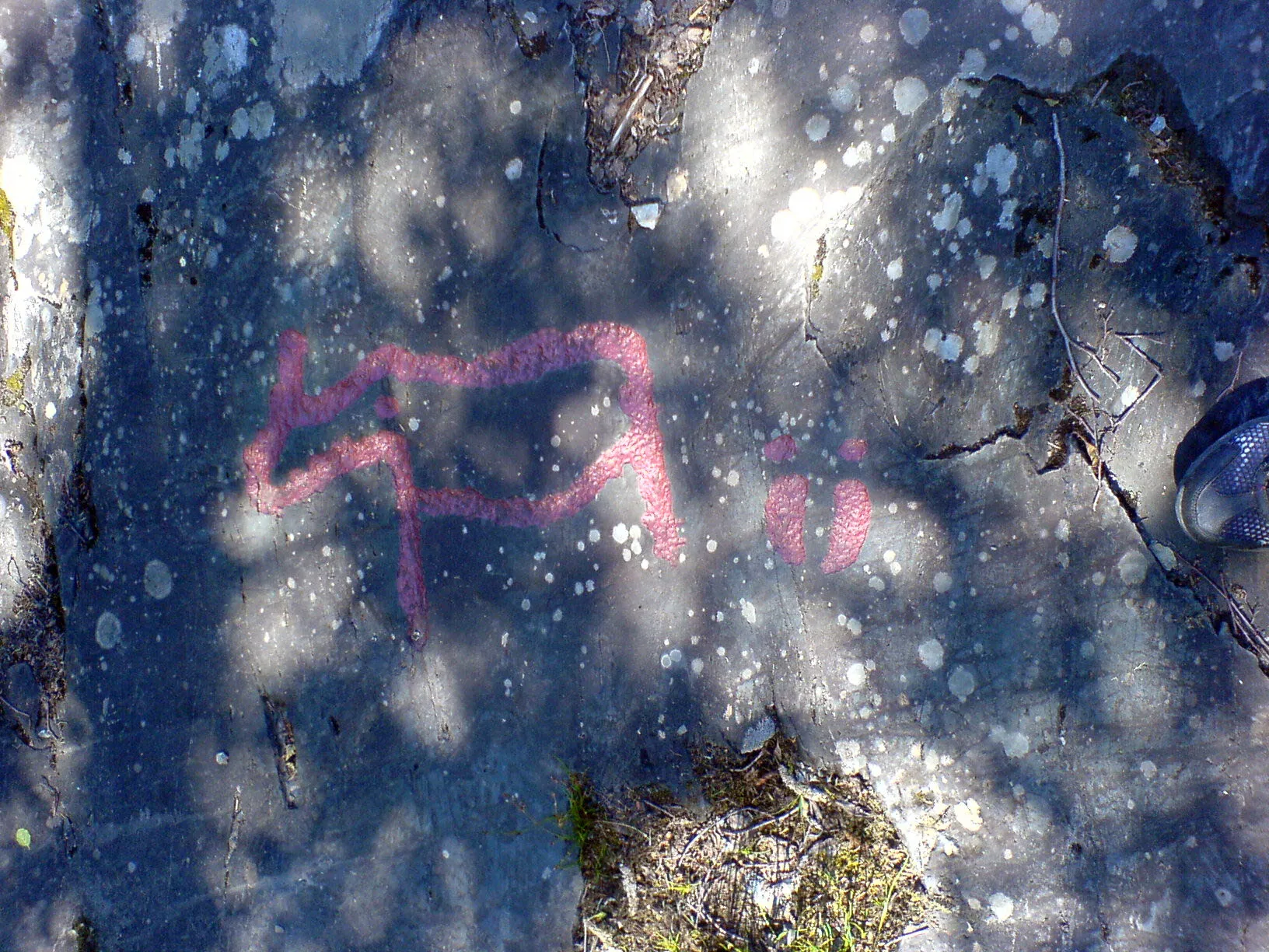Photo showing: Rock carvings at Gärde in Jämtland county.
