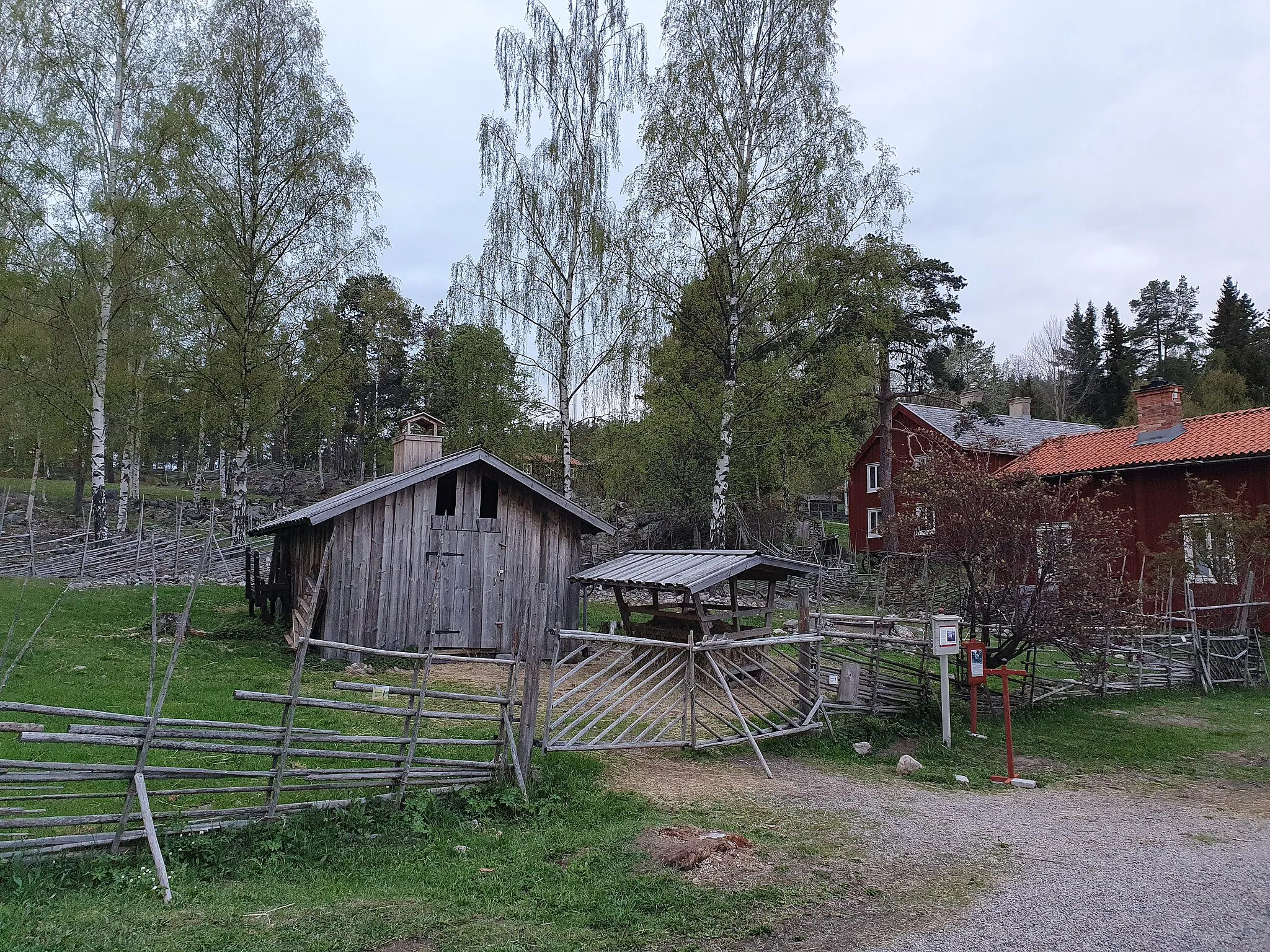 Photo showing: Sheep garden at Norra stadsberget of Medelpad, Sweden