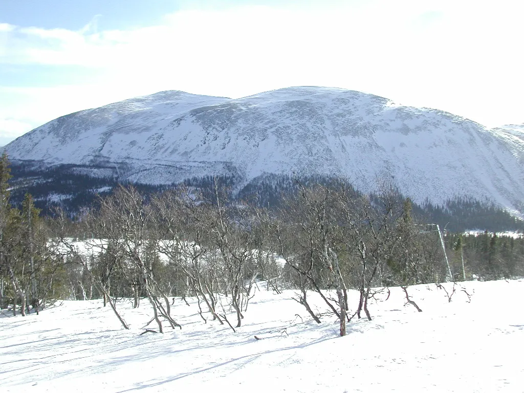 Photo showing: A fell in western Jämtland during winter.