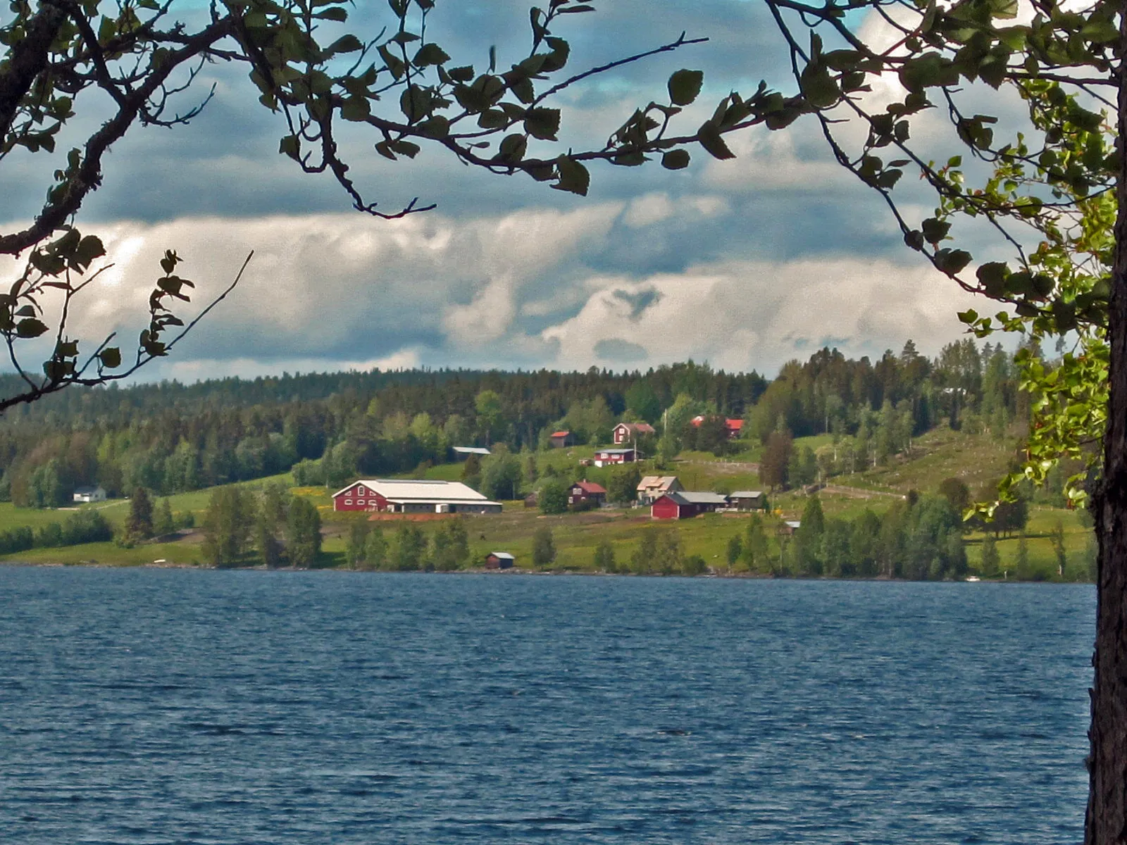 Photo showing: Laxviken