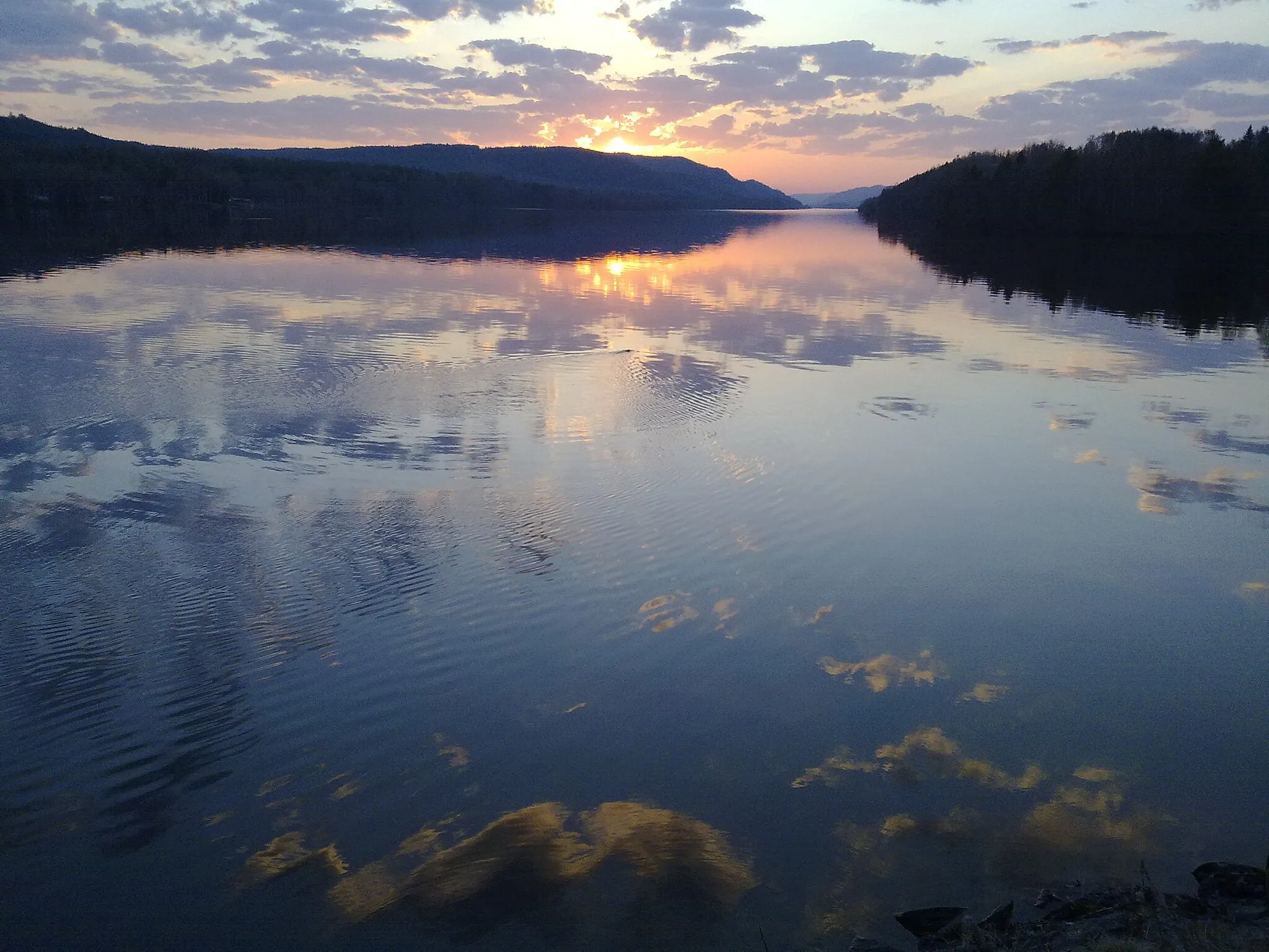 Photo showing: Breaver that swims into the sunset in the river at Medelpad in Sweden.