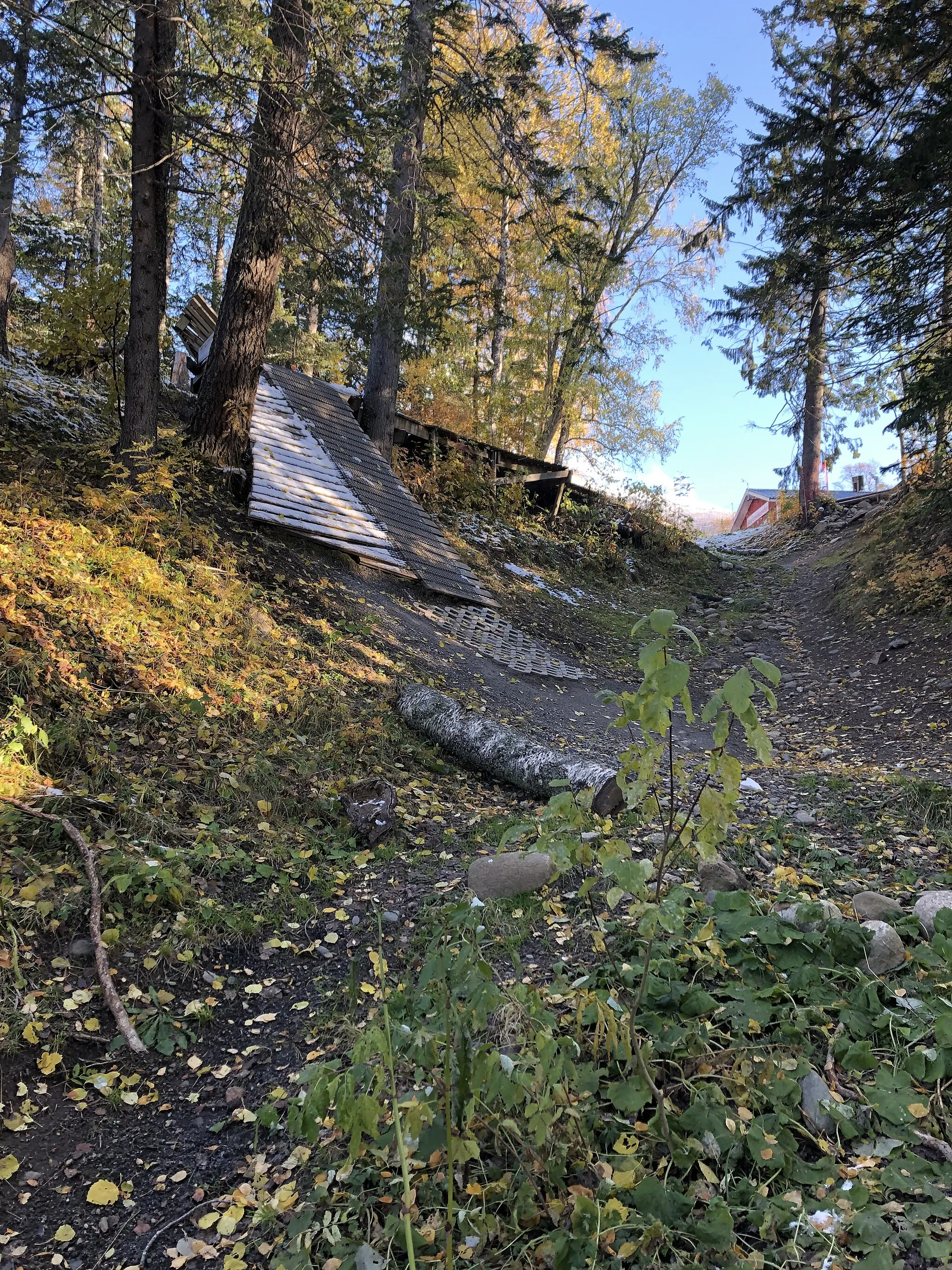 Photo showing: Mountain bike downhill