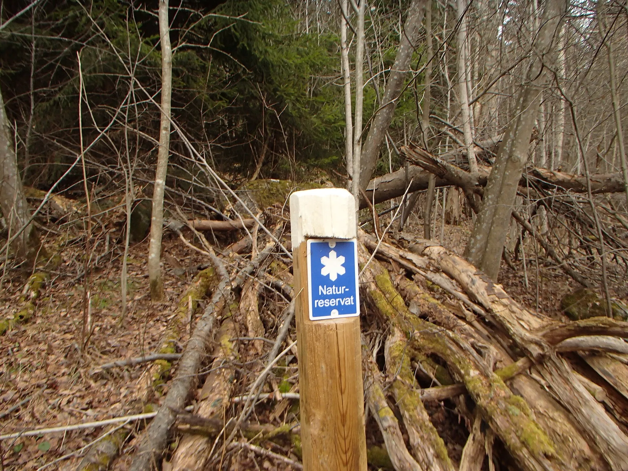 Photo showing: Border pole near Baldersvägen 36-38 marking the south edges of the south-facing hillside in the Norra stadsberget nature reserve, Sundsvall, Sweden