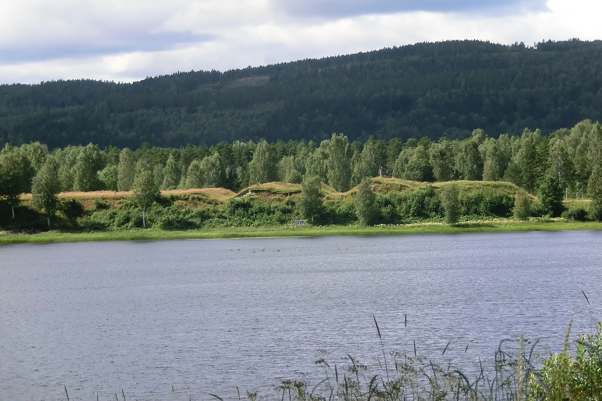 Photo showing: Styresholm,

This is a picture of an archaeological site or a monument in Sweden, number Torsåker 17:1 in the RAÄ Fornsök database.