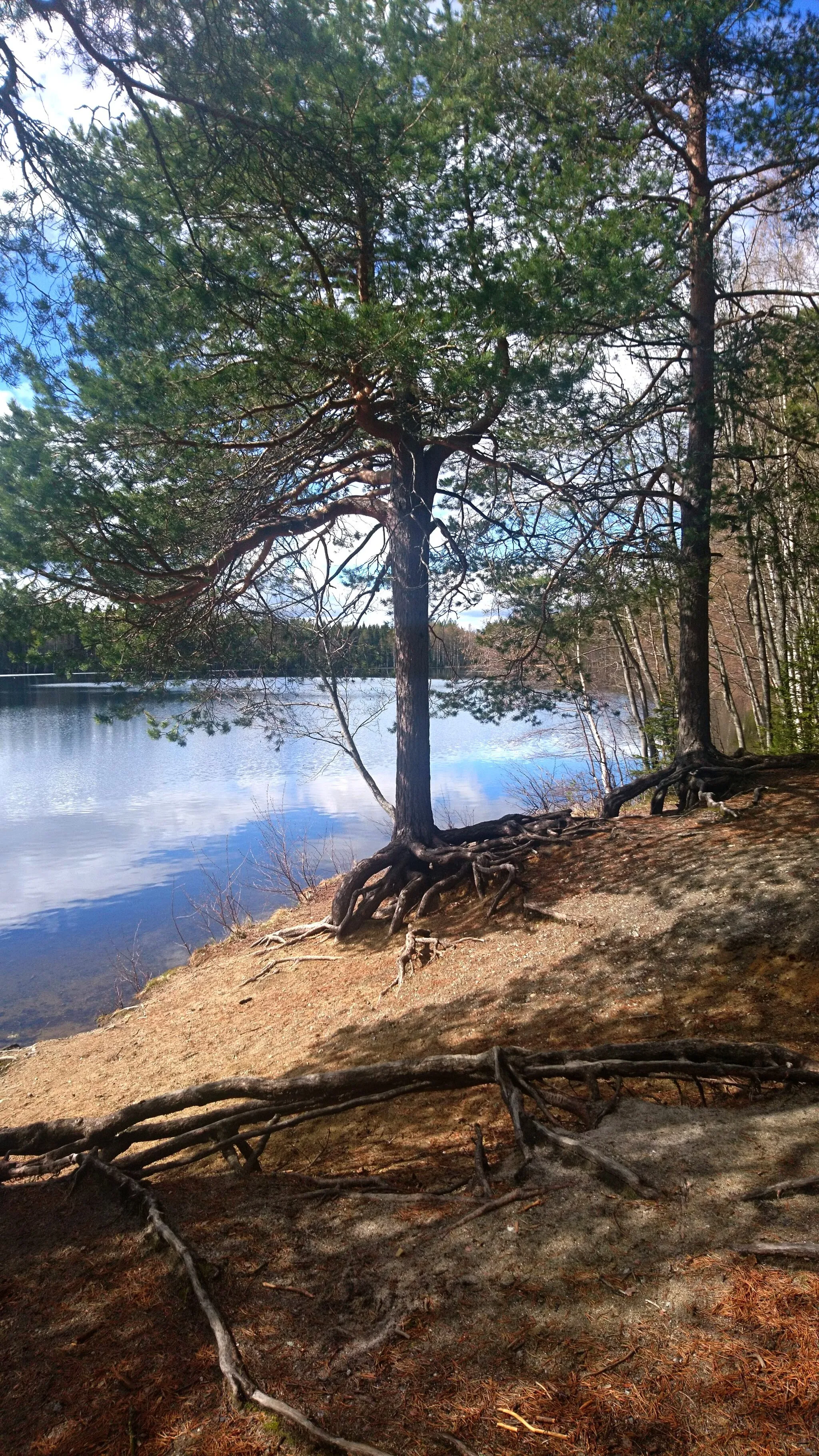 Photo showing: This is a photo of a protected natural area in Sweden with ID: 2000498 .