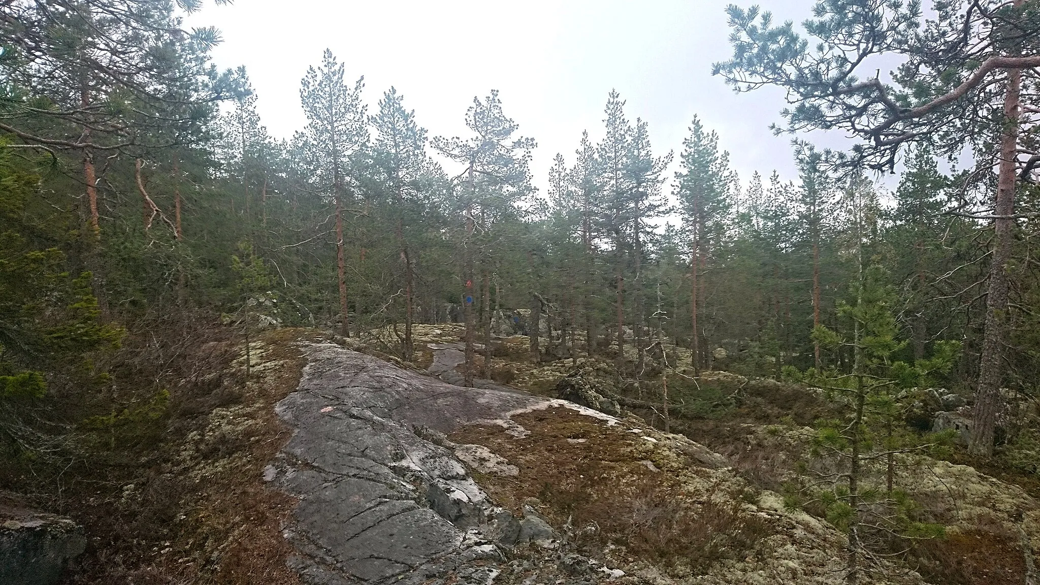 Photo showing: This is a photo of a protected natural area in Sweden with ID: 2000498 .