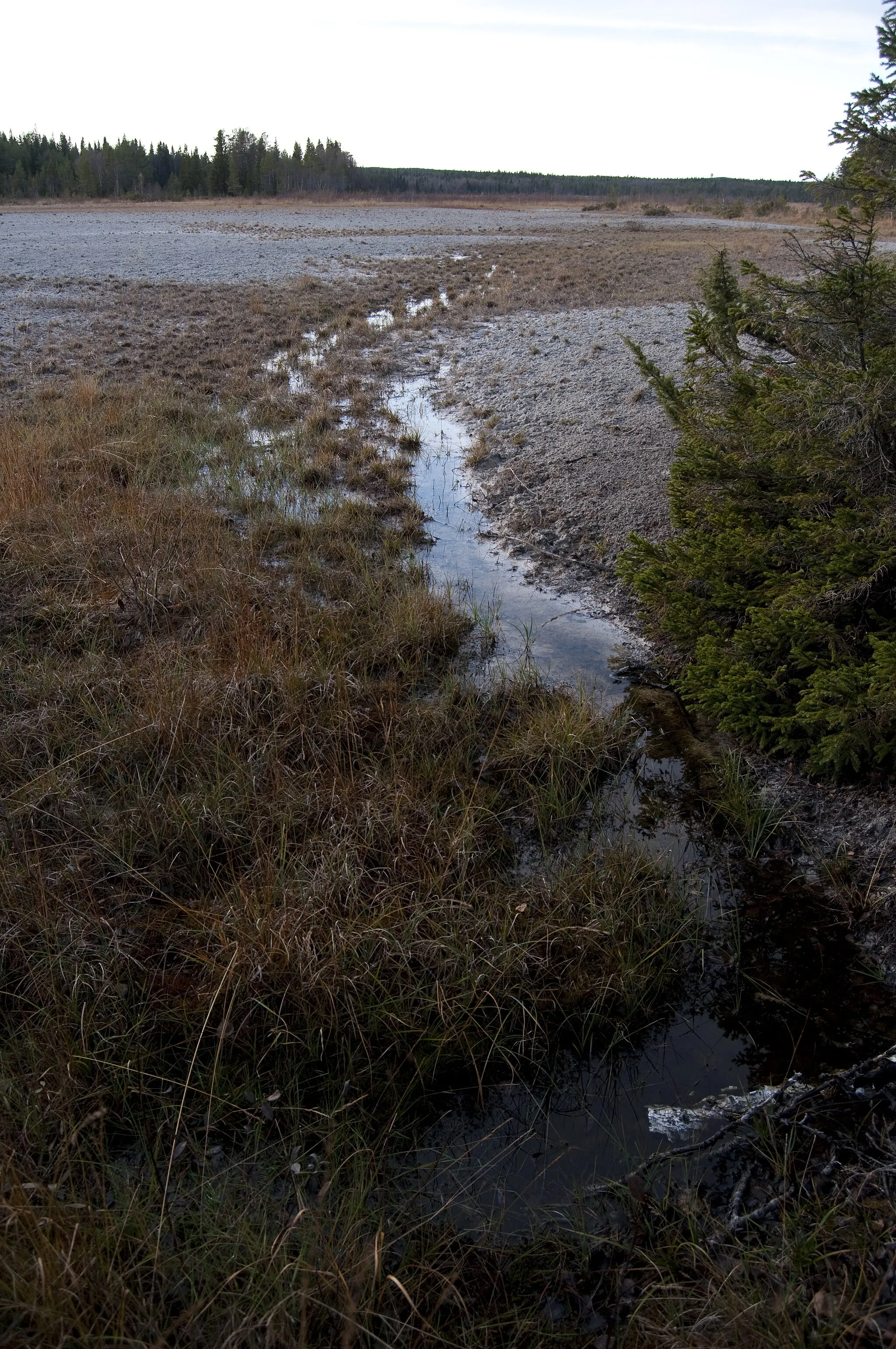 Photo showing: Tysjöarnas fågelskyddsområde utanför Östersund, Jämtland, Sweden.