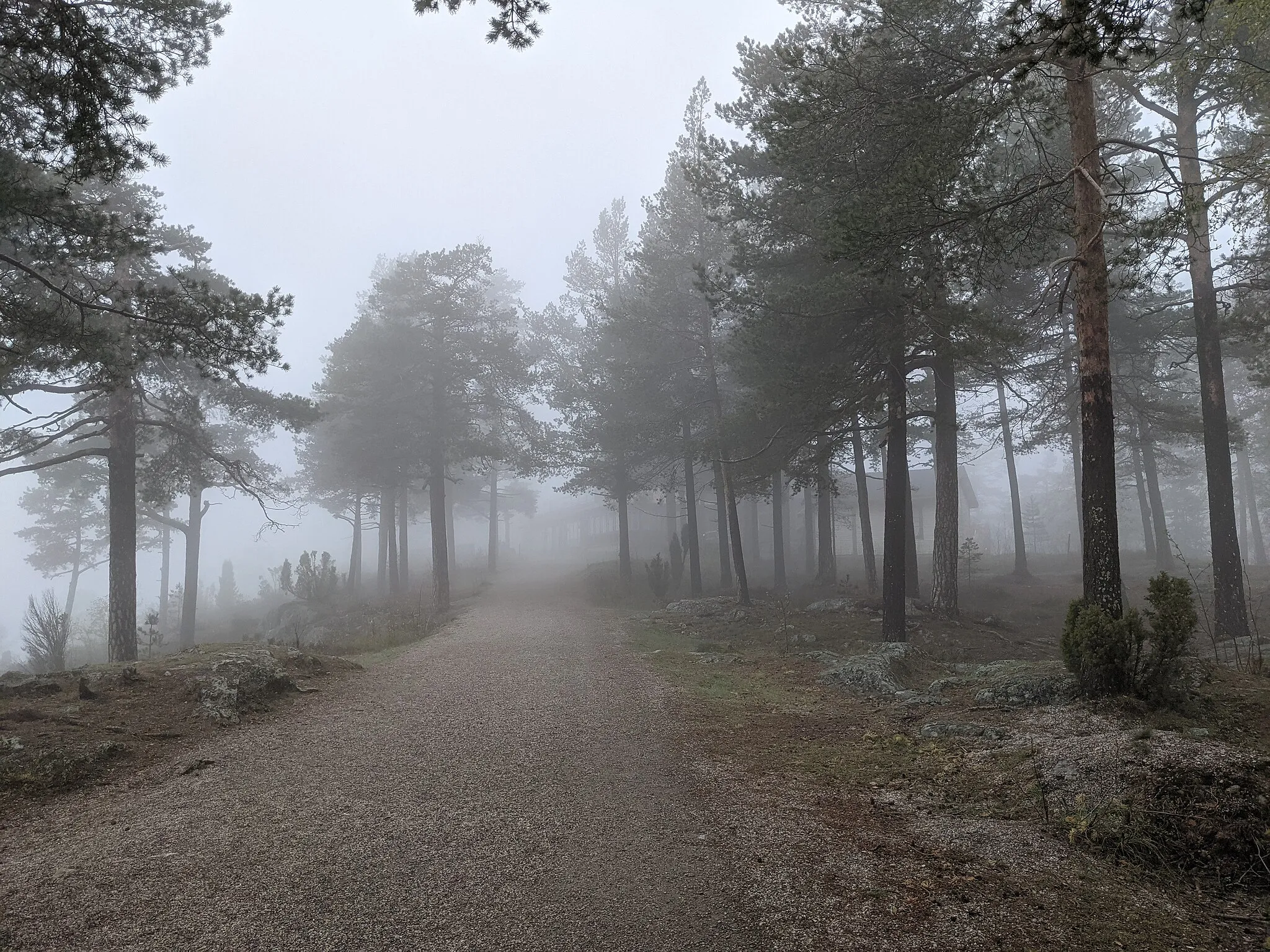 Photo showing: Dimmig dag på Norra Berget i Sundsvall