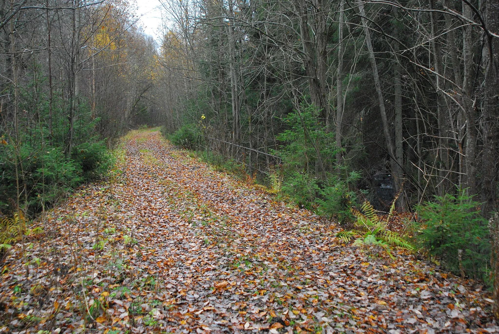 Photo showing: Remains of Fors-Gruvgården railway line, Hedemora municipality, Sweden