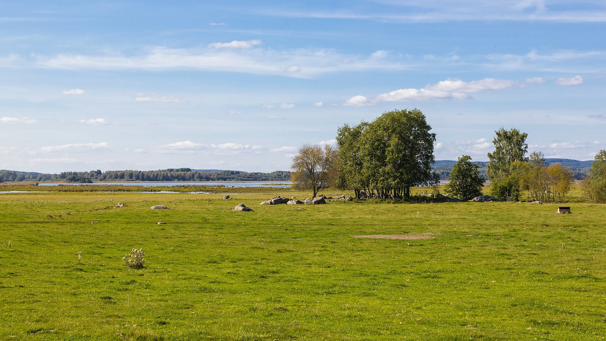 Photo showing: Beteshage vid Flinesjön, Husby socken, Hedemora kommun, Sverige.