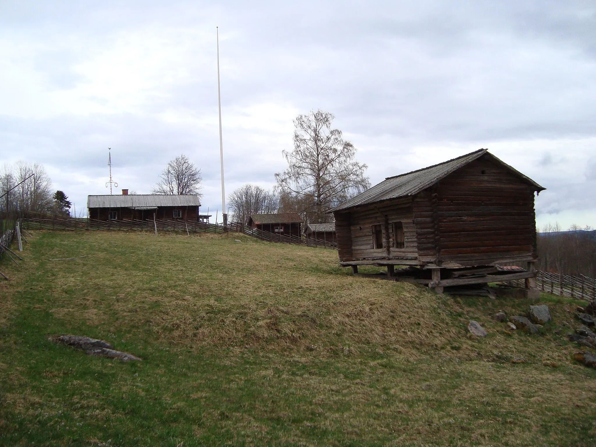 Photo showing: Mountain pasture on mount 'Dössberget', Bjursås, Falun Municipality, Sweden