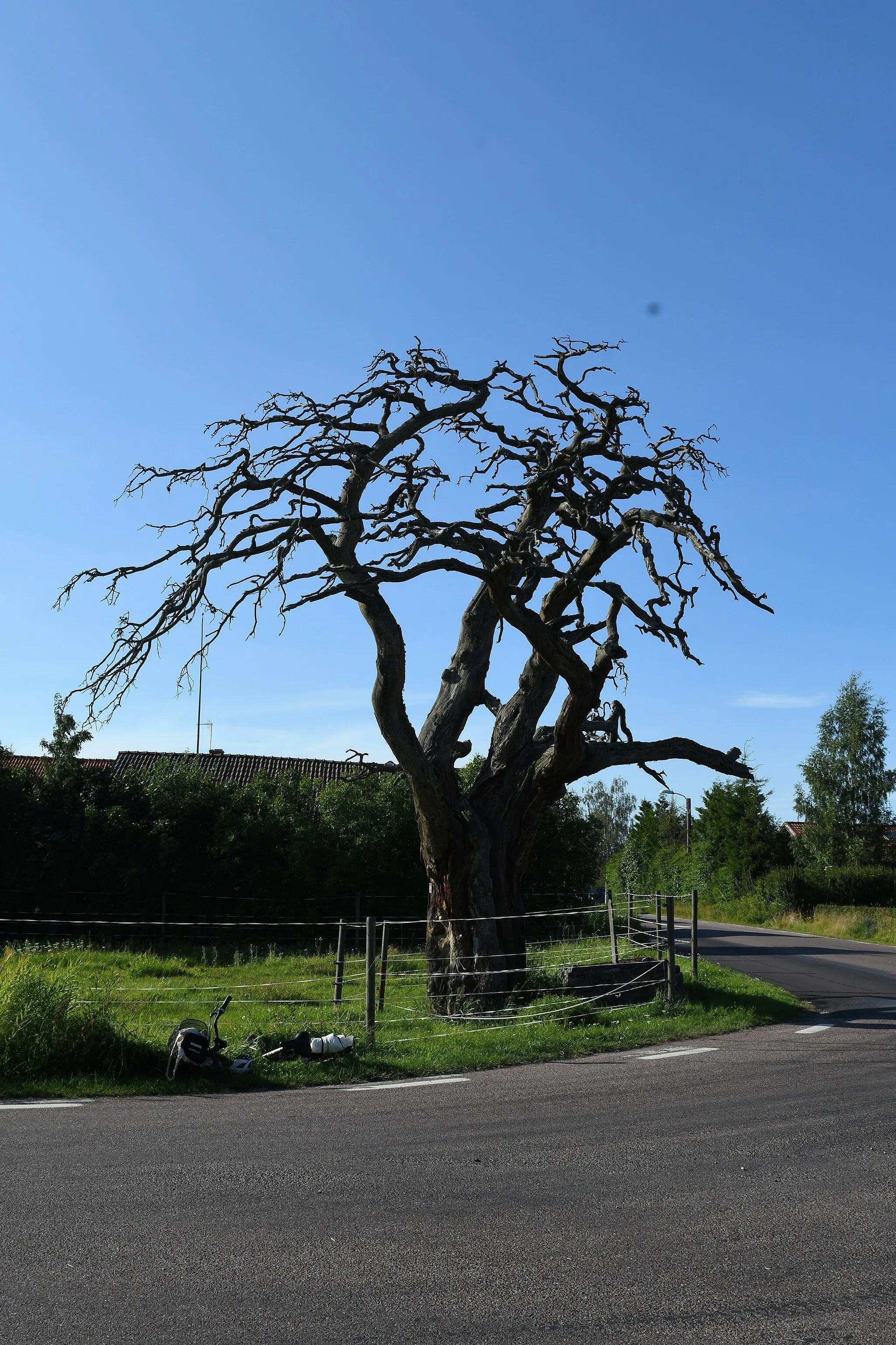 Photo showing: Naturminnet Arvidstallen i Häradsbygden utanför Leksand.