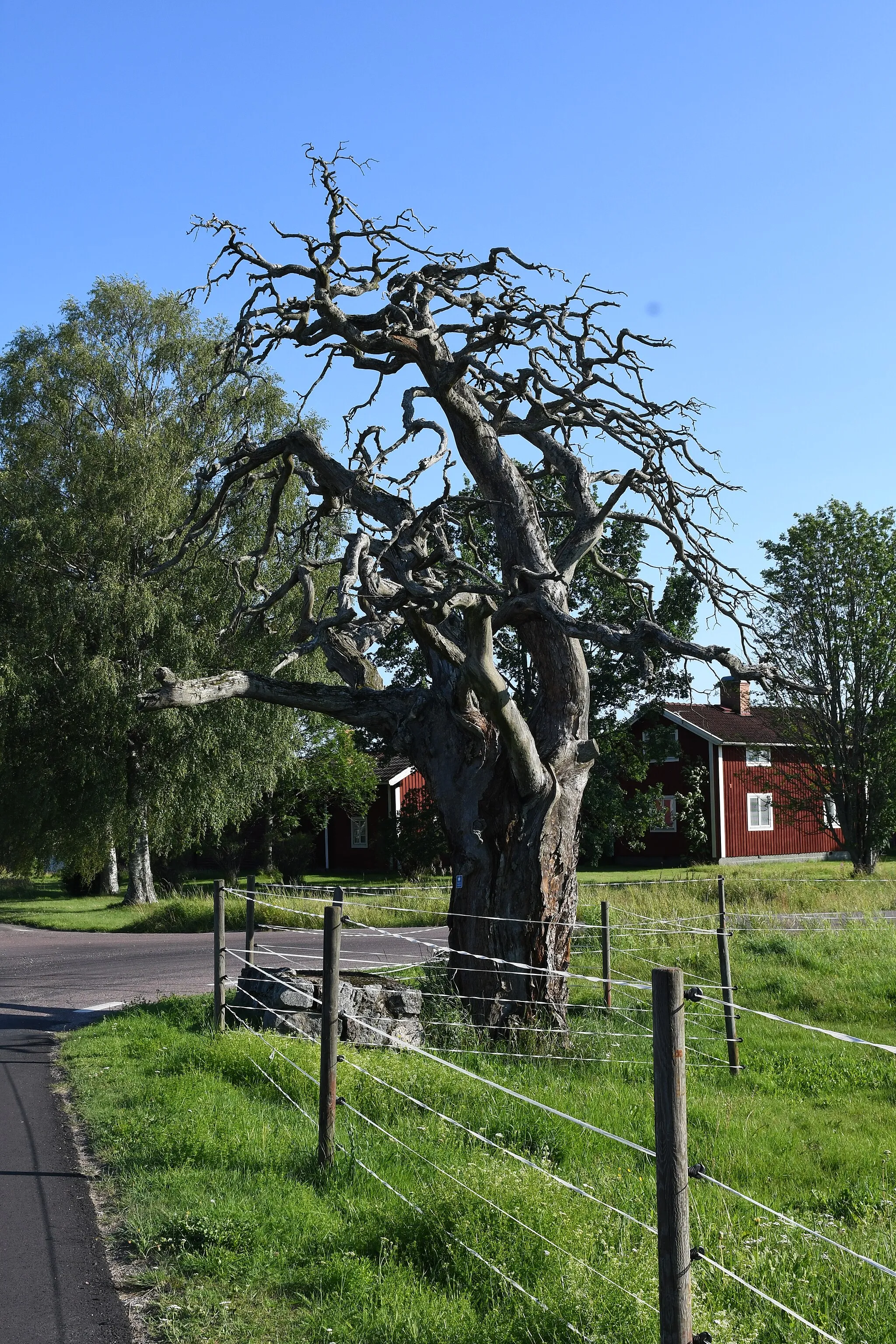 Photo showing: Naturminnet Arvidstallen i Häradsbygden utanför Leksand.