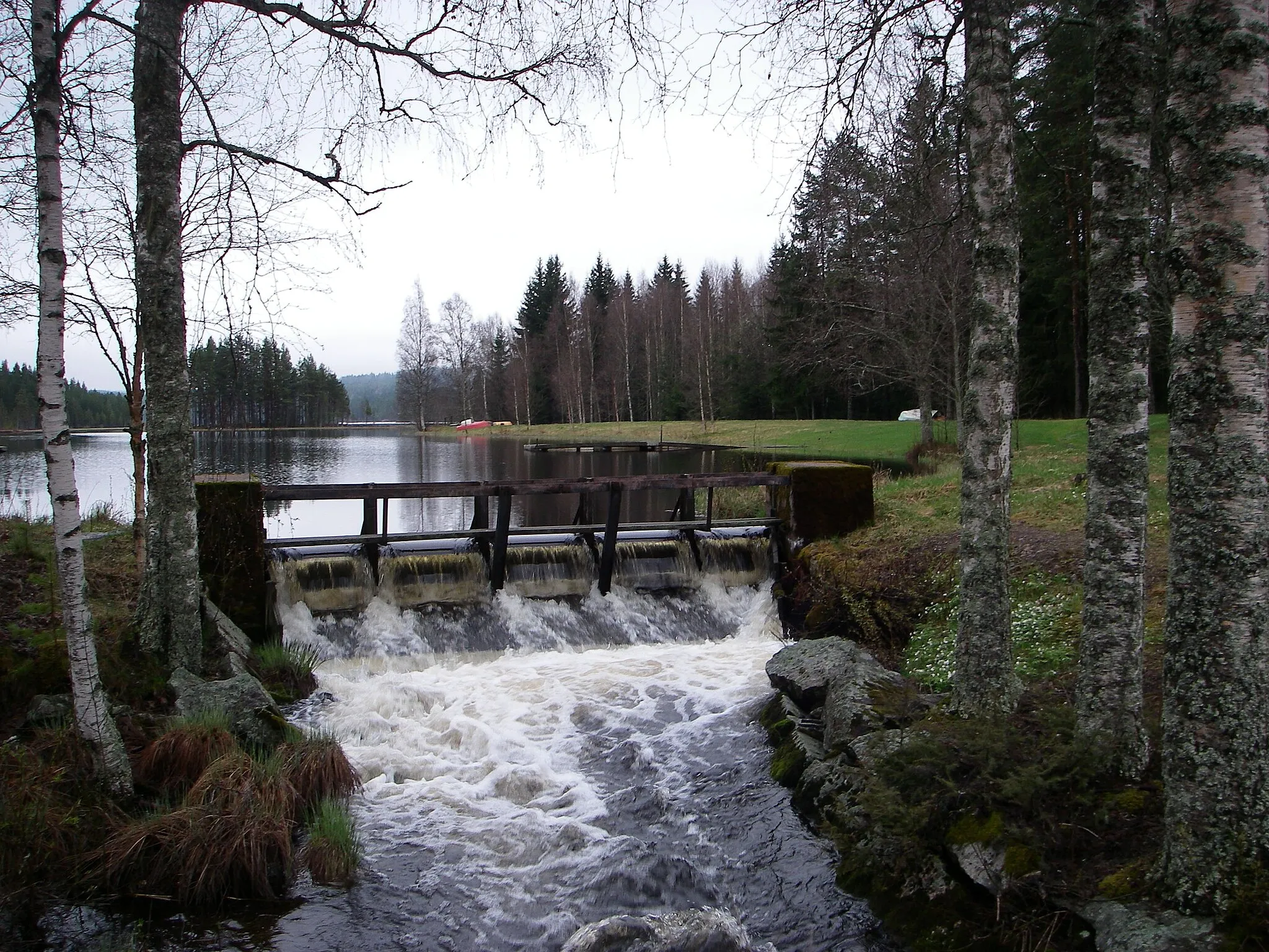 Photo showing: River Helgån where it starts in lake Helgsjön, Dalacarlia, Sweden.