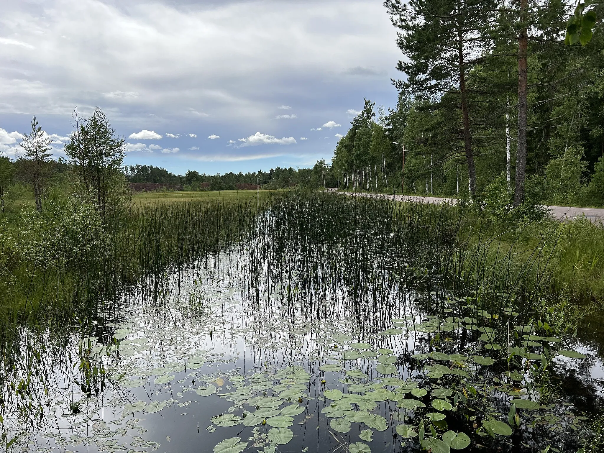 Photo showing: The New Crown Ditch (Krondiket / Nya Krondiket) in the Word Heritage town of Falun in Sweden in July 2022. The water required in the Falun Mine was collected in ponds, such as the Old Mine Pond (Gamla bergsdammen) constructed between 1739 and 1747 and conducted to the mine through canals/ditches.