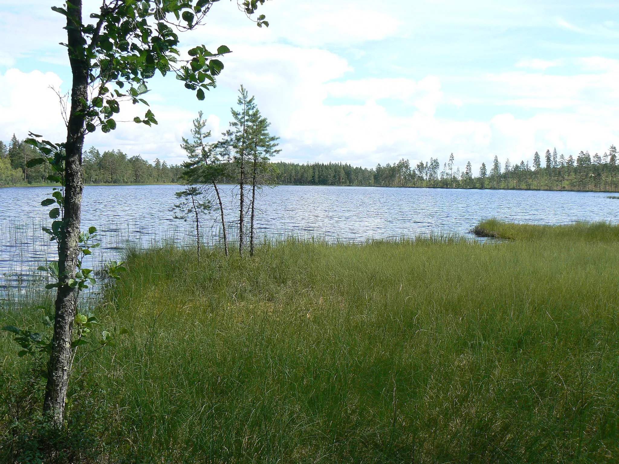 Photo showing: Lake Svarttjärn on the Leksand/Mora municipal boarder in Dalarna, Sweden