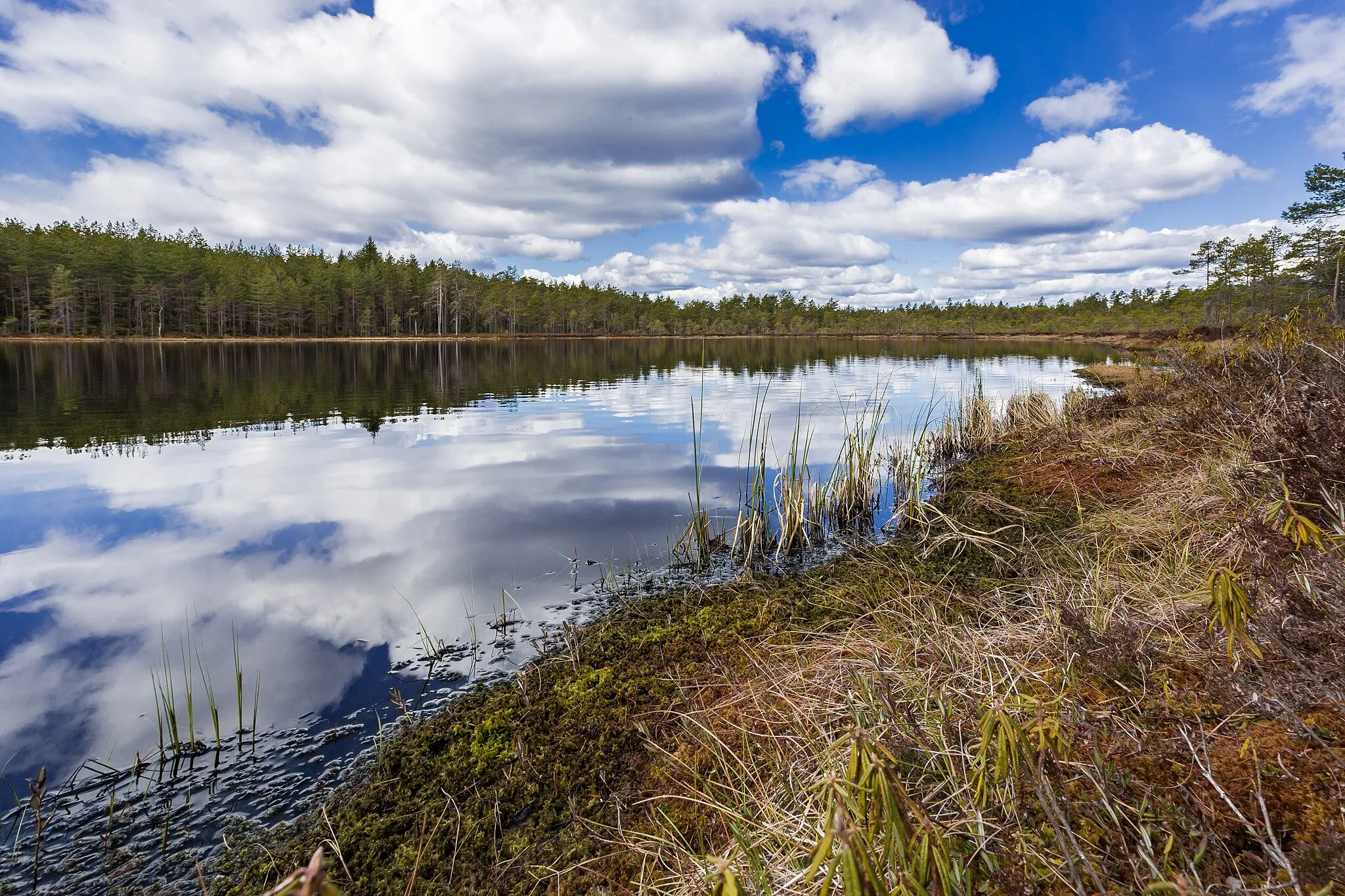 Photo showing: Lilla Tvåtjärnen, Norbergs kommun, Västmanlands län, Sverige.