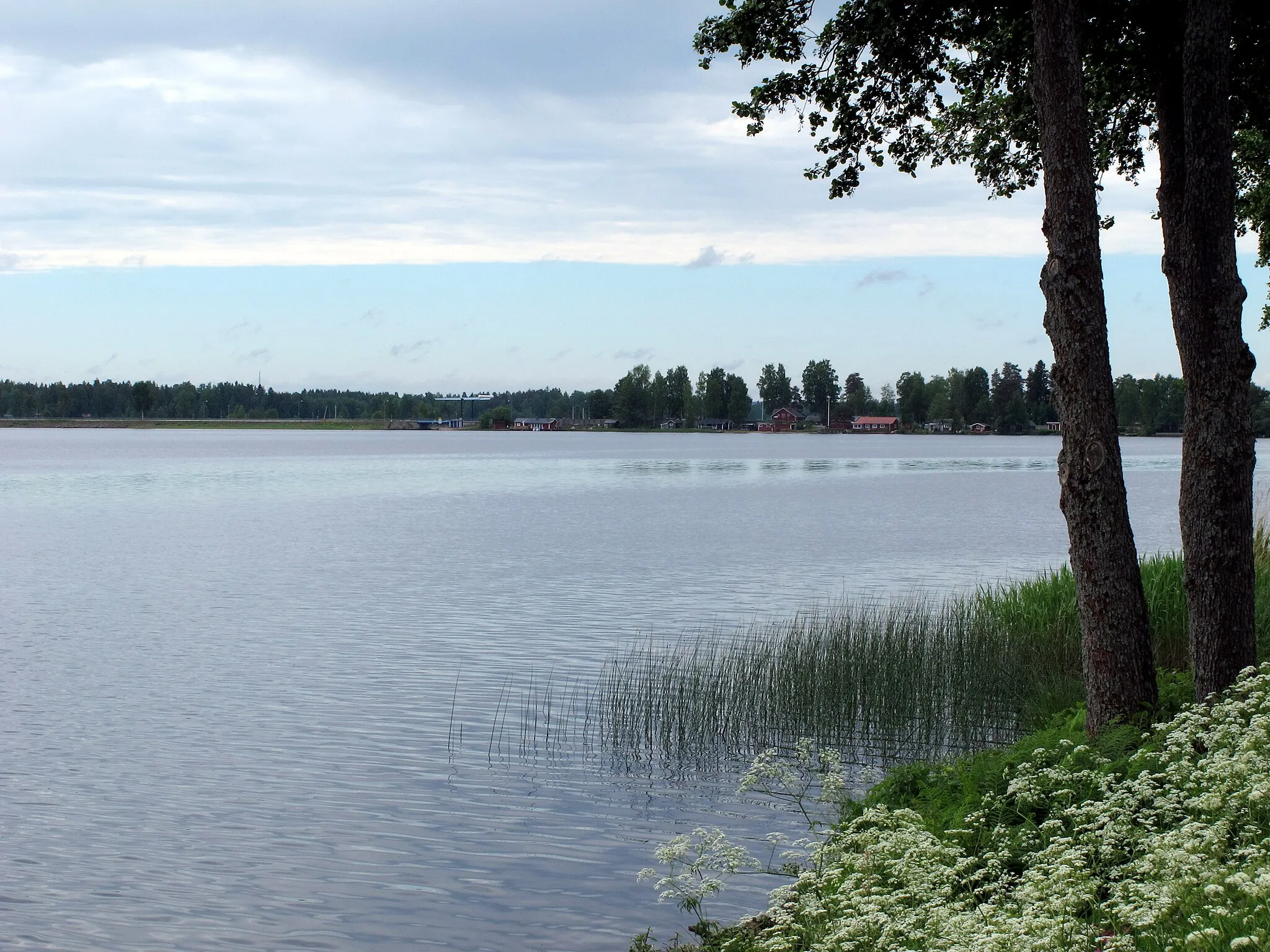 Photo showing: Storsjön nära Årsunda.