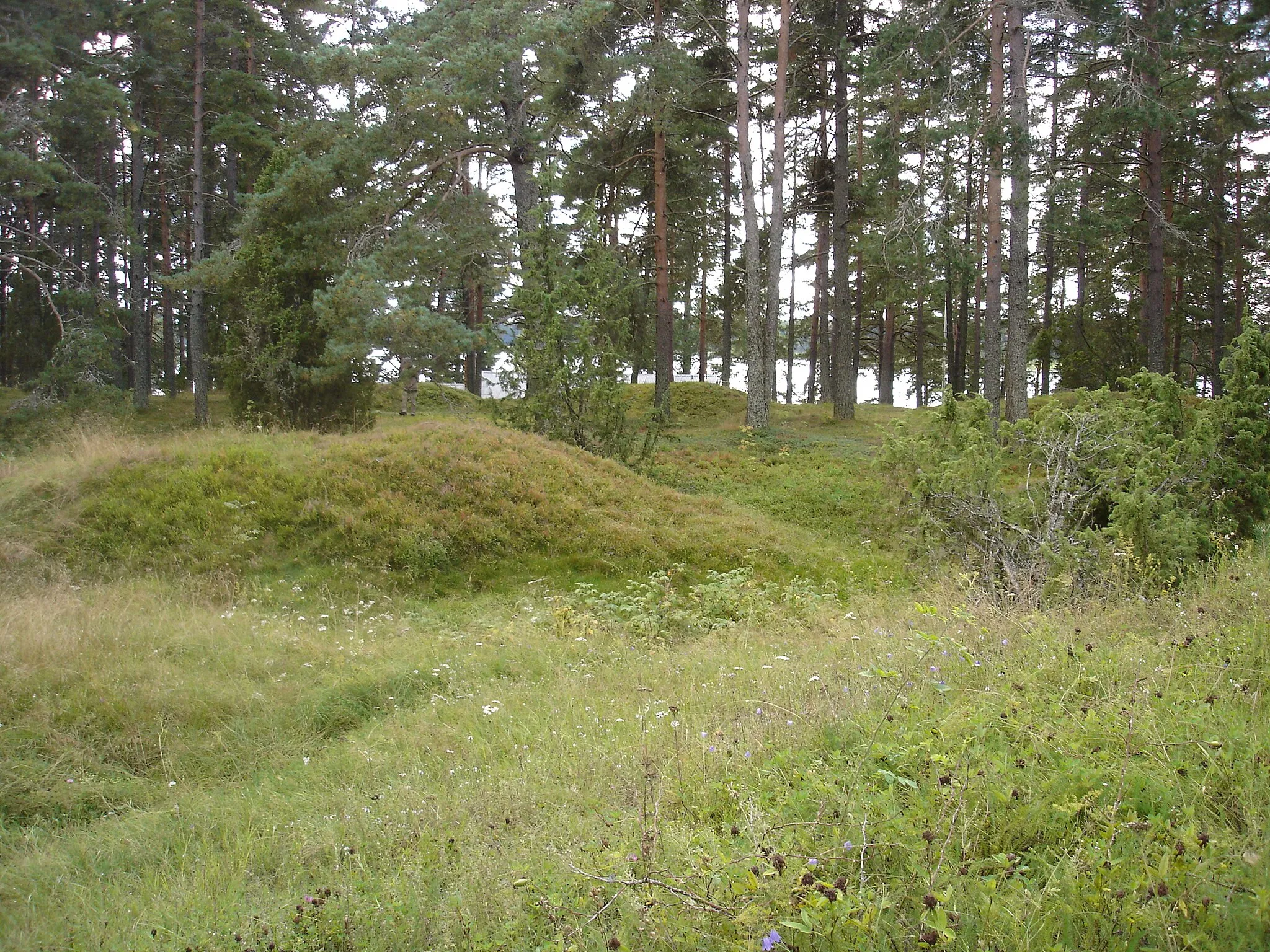 Photo showing: Gravfält vid Ögården med sex gravhögar.