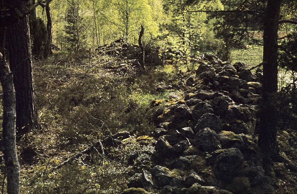 Photo showing: Prehistoric fortification at Vargklevsberget mountain by Lickasjön lake.
Fornborg vid Vargklevsberget vid Lickasjön.
Parish (socken): Brunneby
Province (landskap): Östergötland
Municipality (kommun): Motala
County (län): Östergötland
Photograph by: Björn Allard
Date: 1961
Format: Colour slide
Persistent URL: kmb.raa.se/cocoon/bild/show-image.html?id=16001000030116

Read more about the photo database (in english): www.kms.raa.se/cocoon/bild/about.html