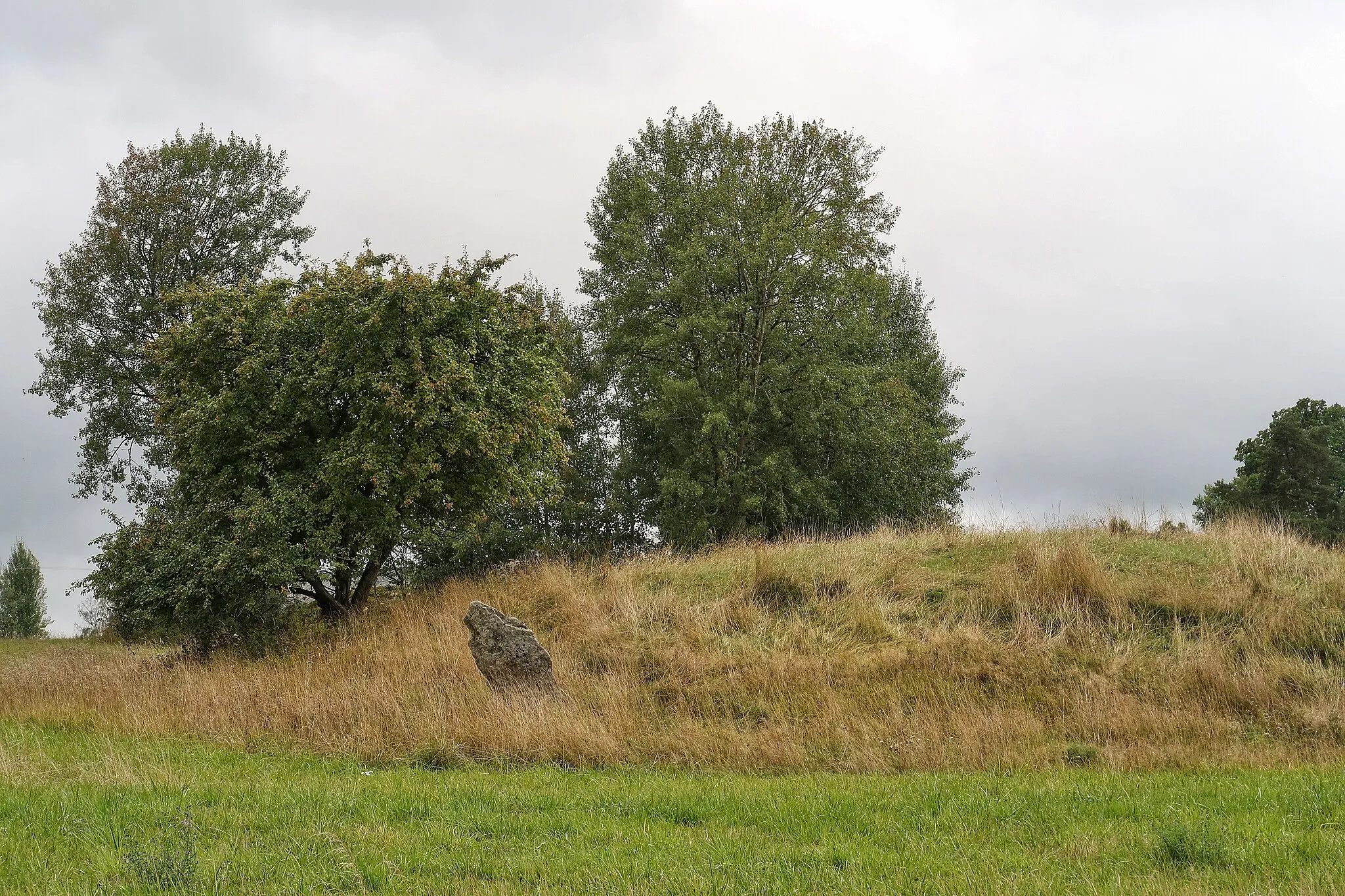 Photo showing: Tingshögen vid Aspa. Rönö härads tidigaste tingsplats.