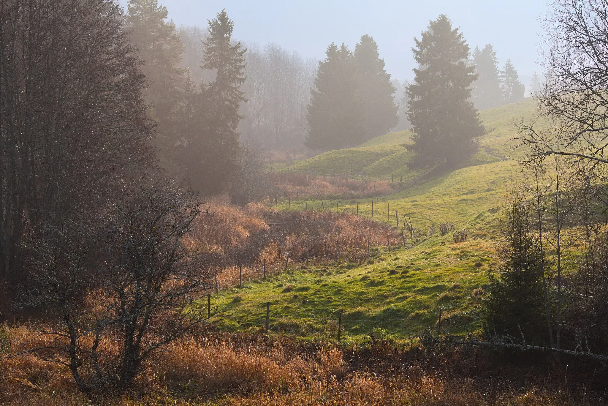 Photo showing: The valley of Skattmansöådalen with its typical pastures.