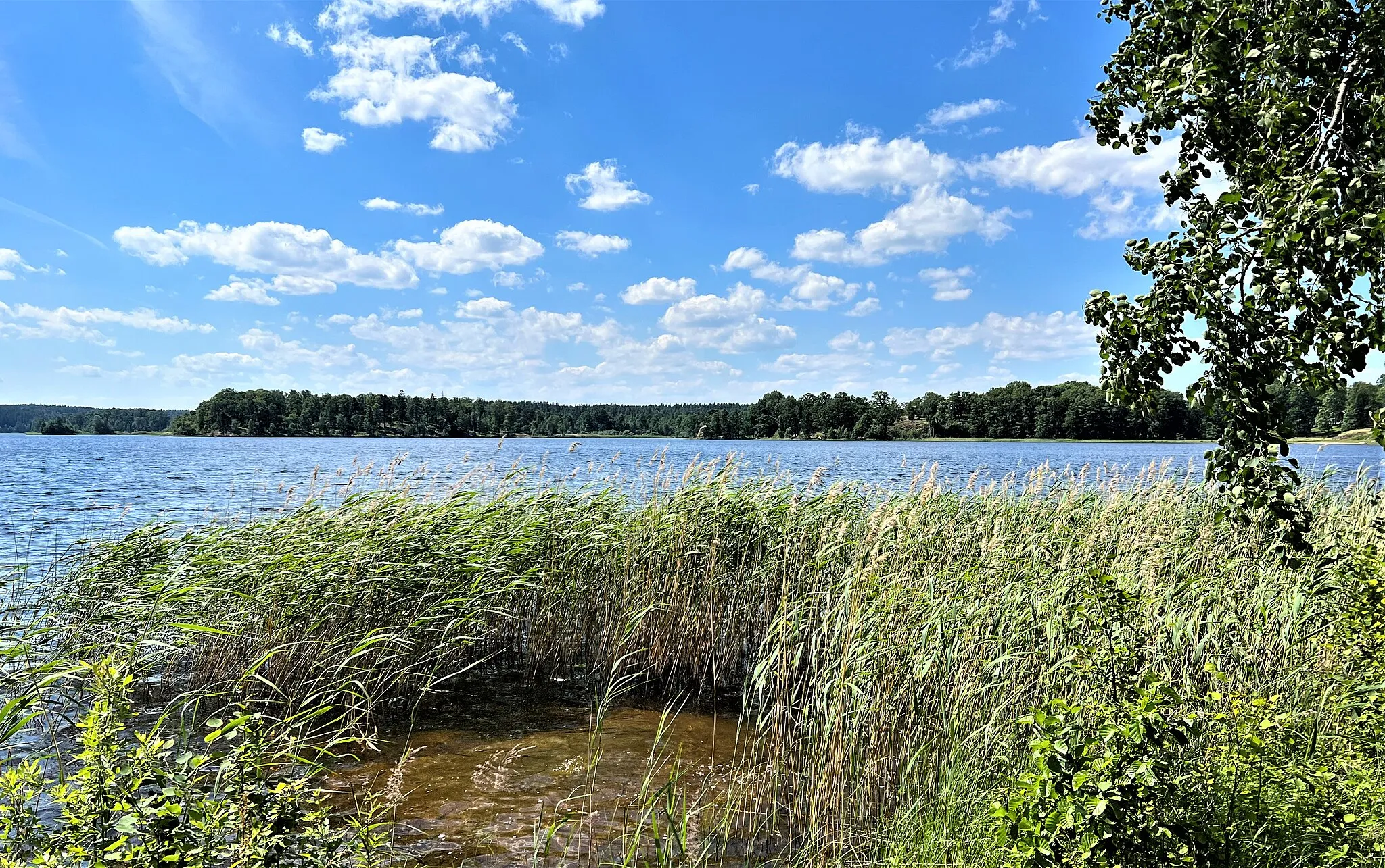 Photo showing: Näshulta Lake by Näshulta Church in Näshulta in Eskilstuna Municipality in Sweden, on June 26, 2022.