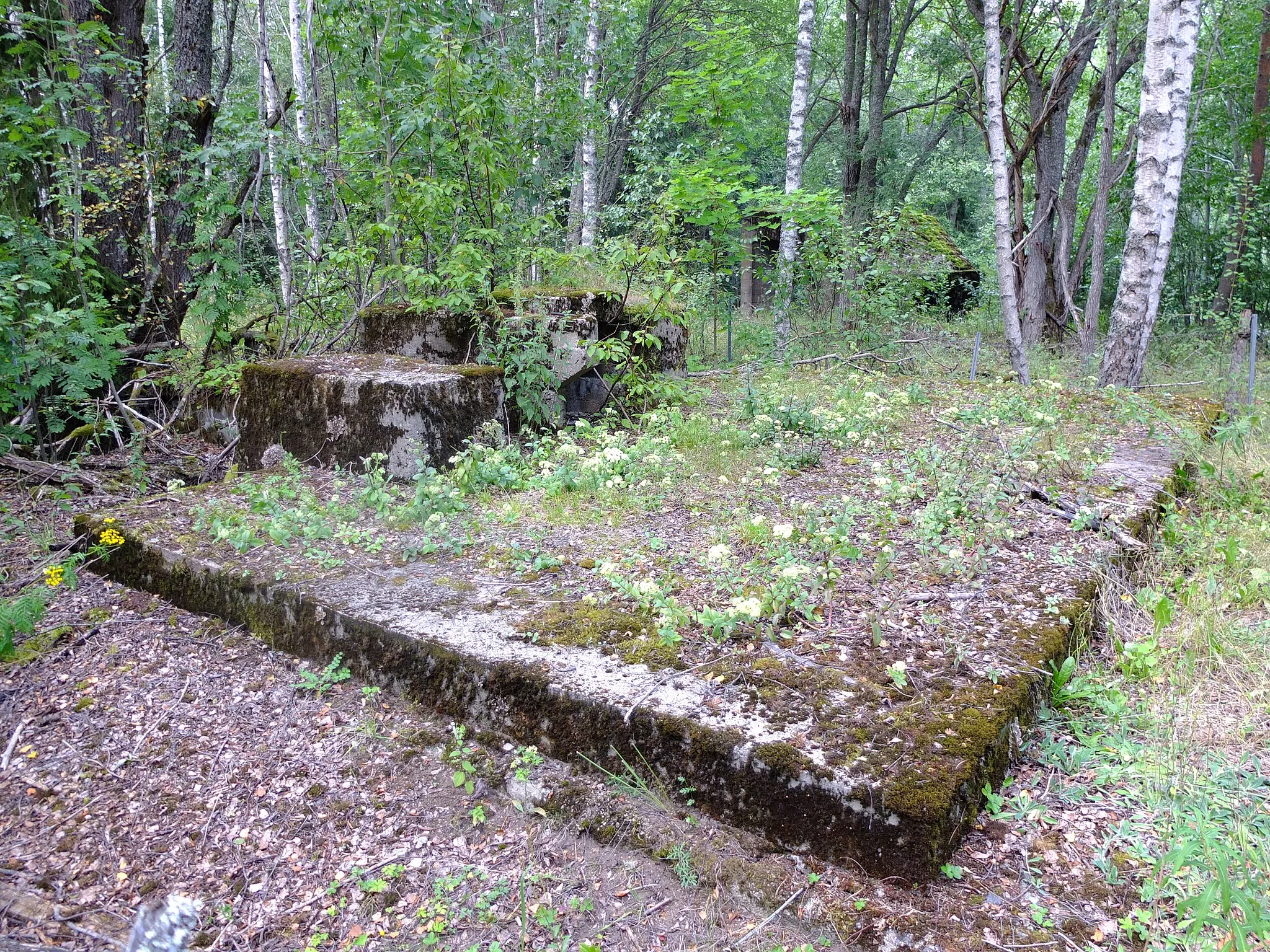 Photo showing: Main shaft (sealed with concrete), Dalkarlsberg, Sweden