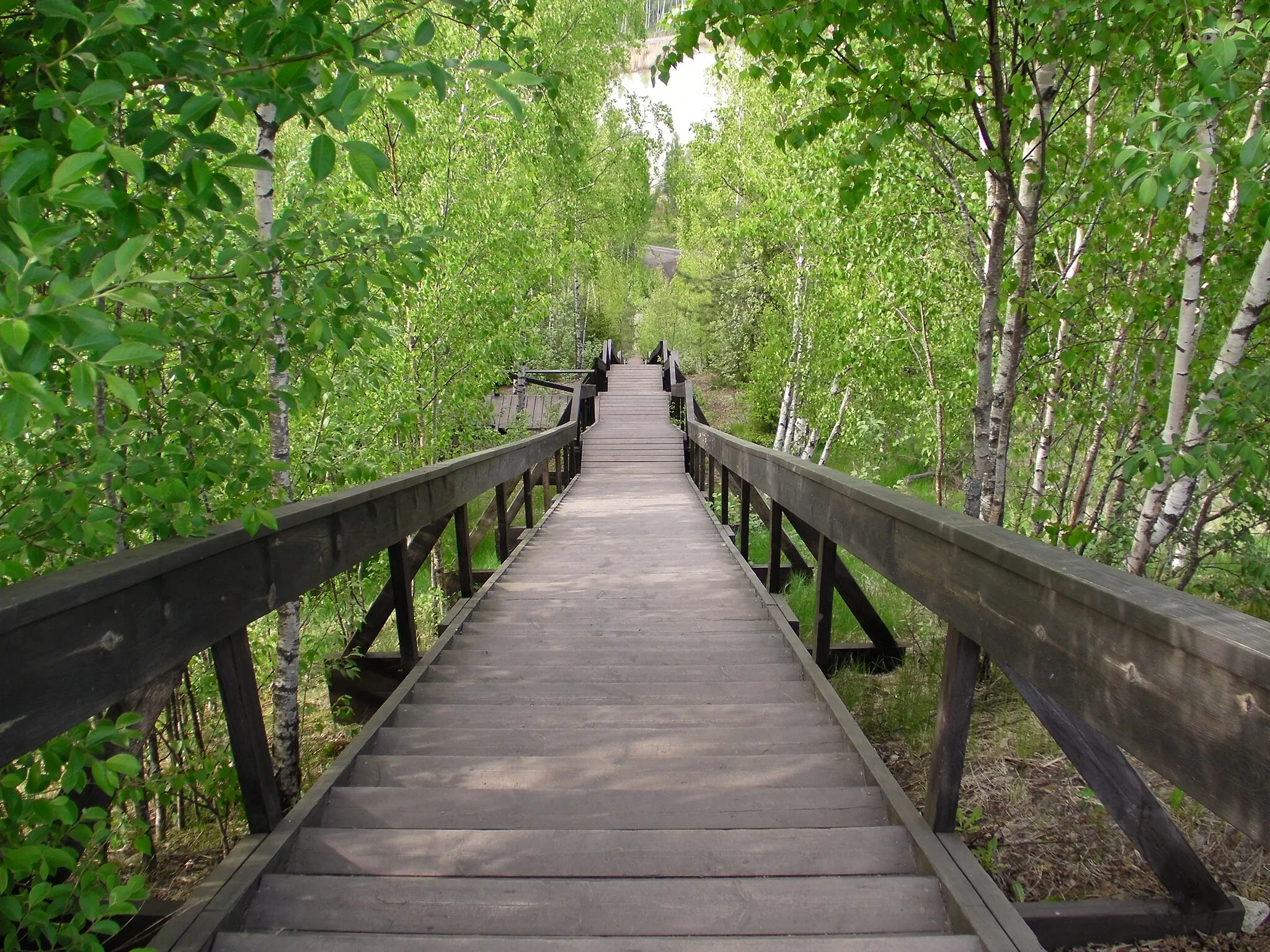 Photo showing: One of the longer wooden stairways in Sweden.