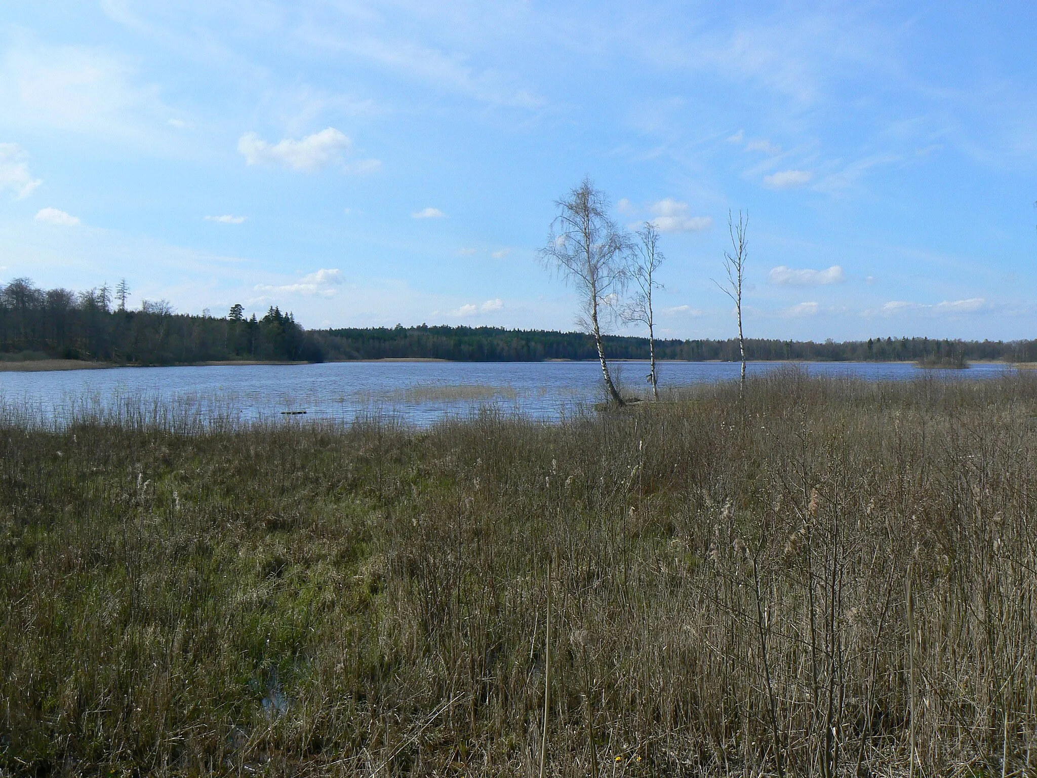 Photo showing: Lillsjön, lake in Linköping Municipality, Sweden.