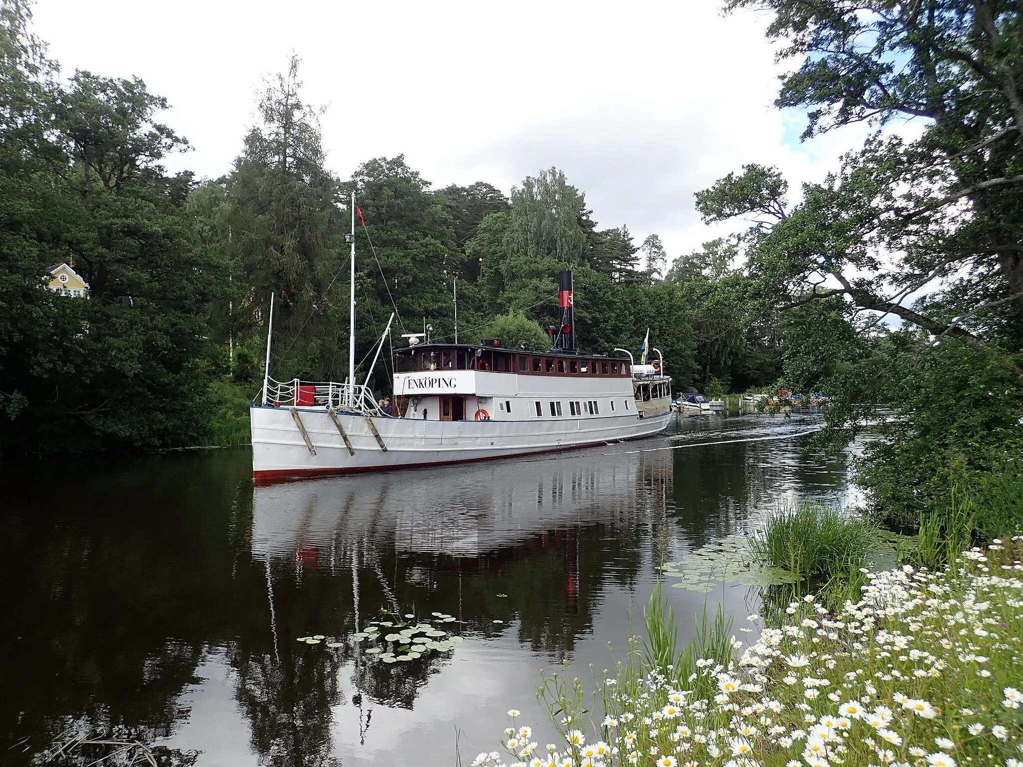Photo showing: M/S Enköping from 1868 approaching the Flottsund bridge in the Fyris river on her way from the centre of Uppsala to Mälaren on July 6, 2019. The picture is taken from the Kungshamn-Morga nature reserve.