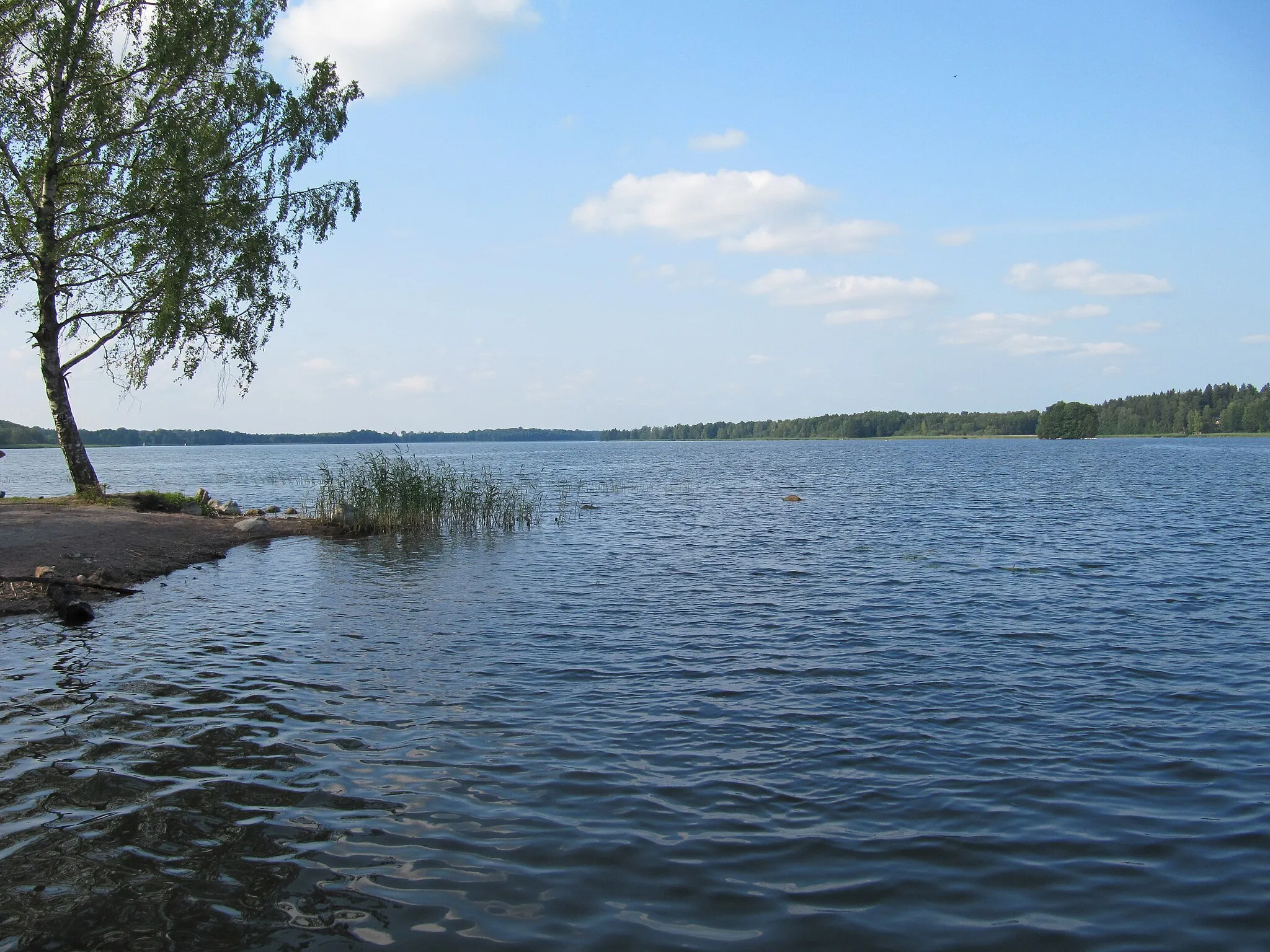 Photo showing: Bild från badplatsen vid södra delen av Långsjön.