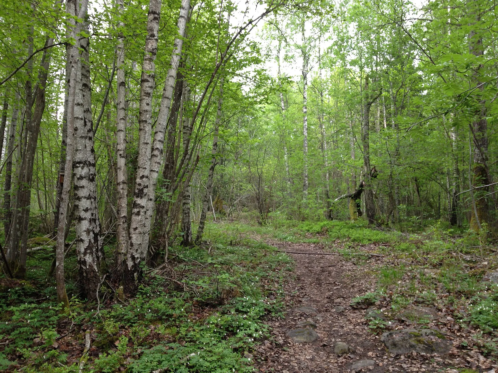 Photo showing: Blänkabacken