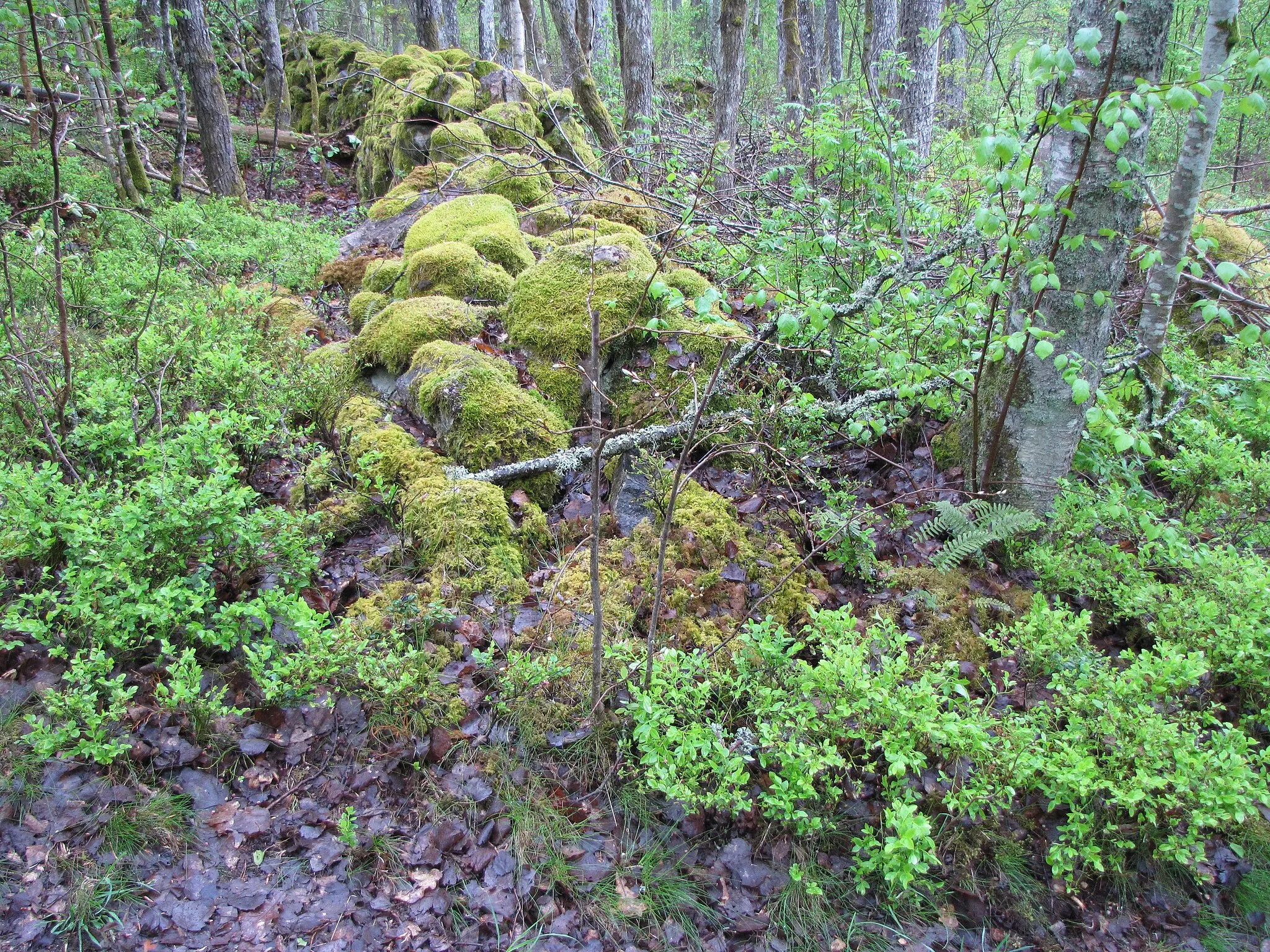 Photo showing: Blänkabacken ligger ett par kilometer öster om Örebro.