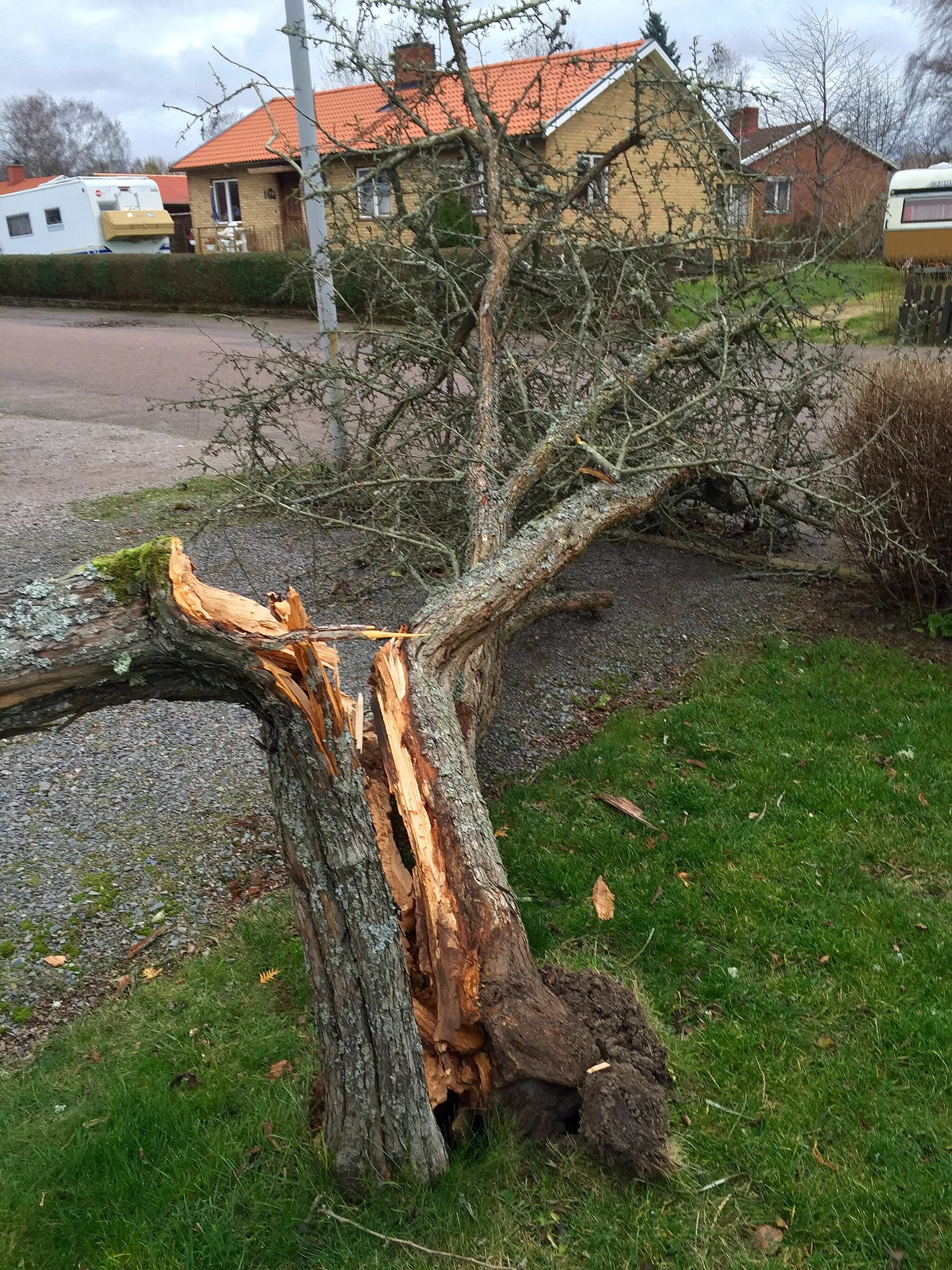 Photo showing: Dags att städa efter stormen…