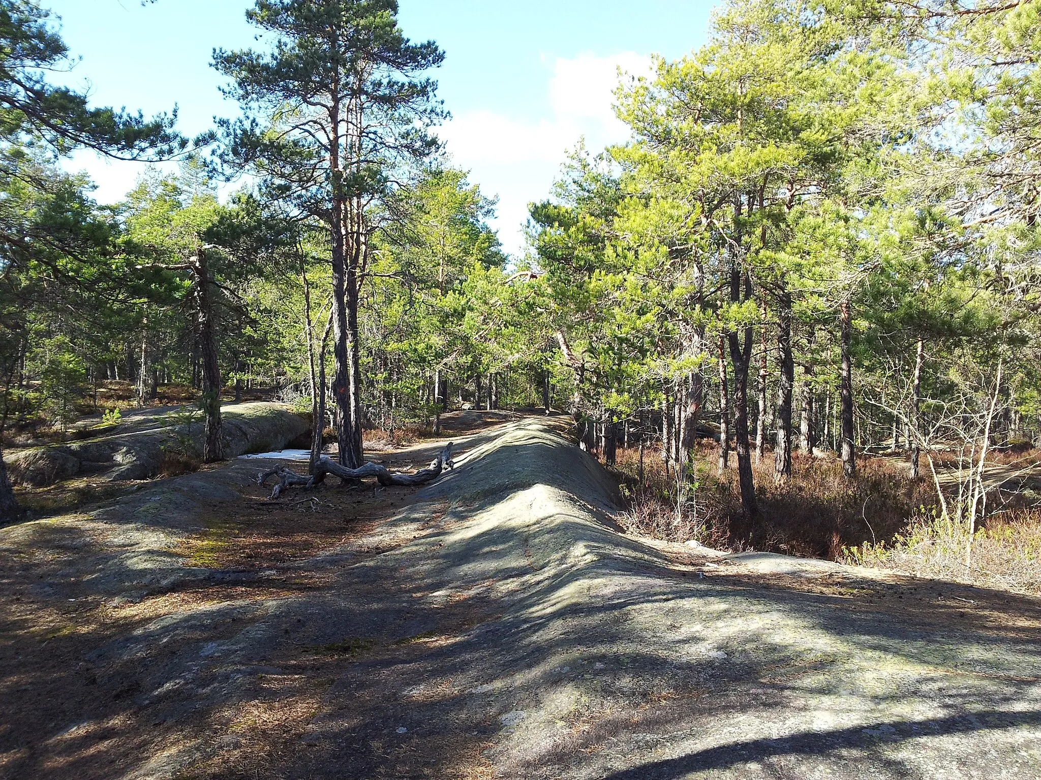 Photo showing: Fiby Urskog near Uppsala