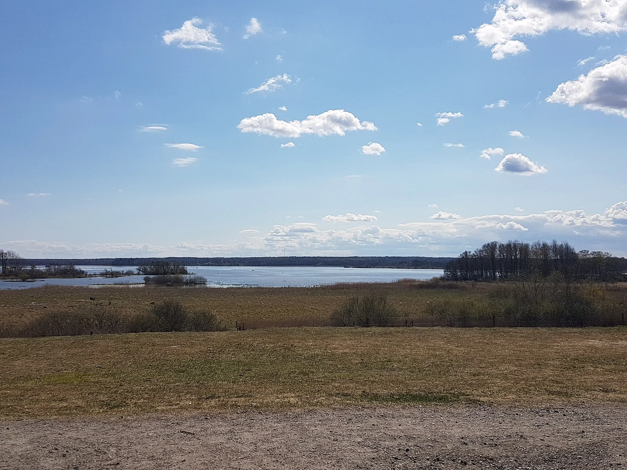 Photo showing: Overview over the lake in Oset & Rynningeviken nature reserve