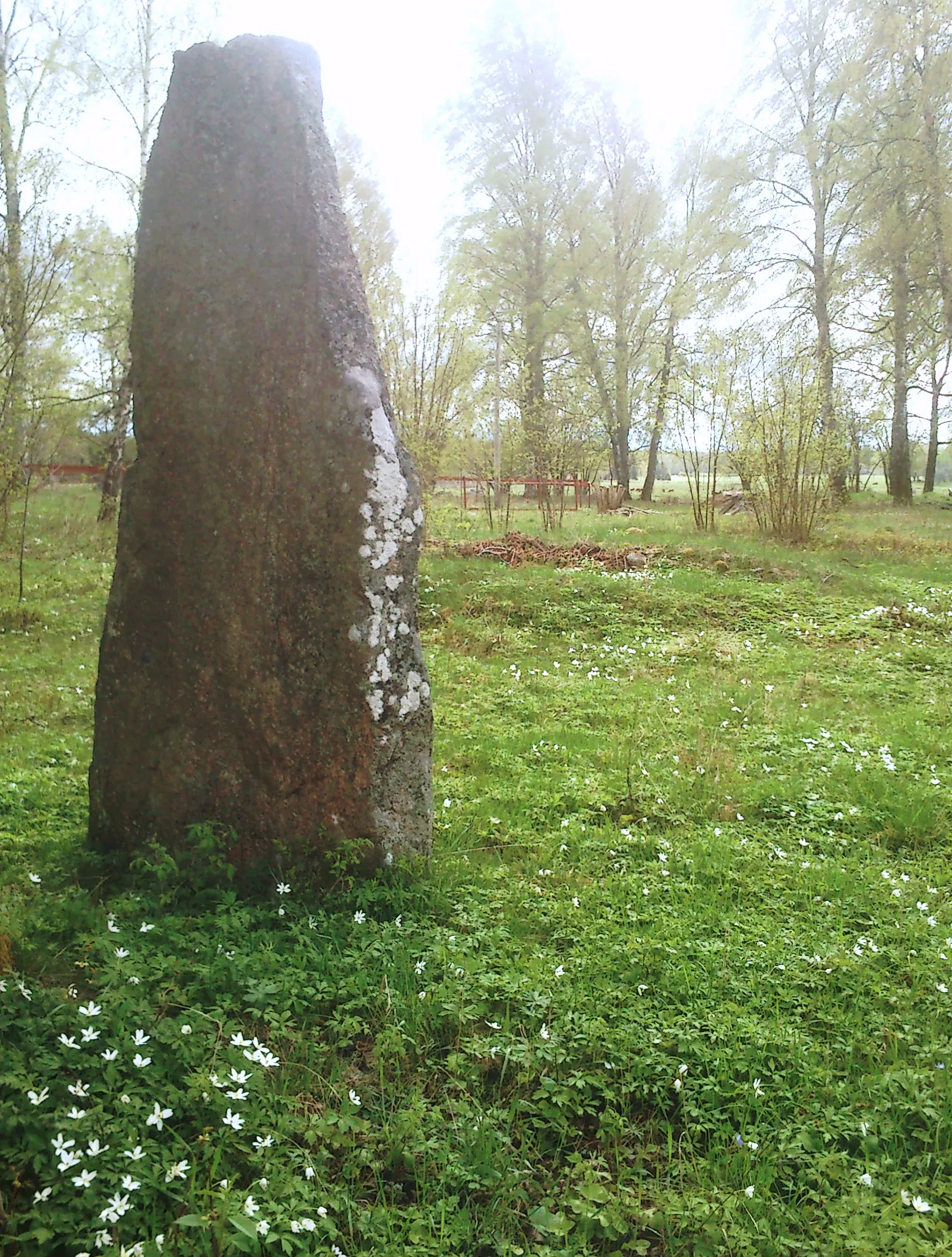 Photo showing: Glottrastenen är Närkes största bautasten. Den ligger lättillgänglig längs med Glottra byväg 100 m från riksväg 51 mellan Örebro och Norrköping. Glottrastenen restes troligen under brons- eller järnåldern. I nära anslutning till stenen ligger ett gravfält med flertalet stenrösen från samma period. Några kilometer från Glottrastenen ligger Svenders sten, en något mindre bautasten. Glottrastenen sägs enligt sägnen vara rest efter drottning Glottra, medan Svenders sten restes efter kung Svender.