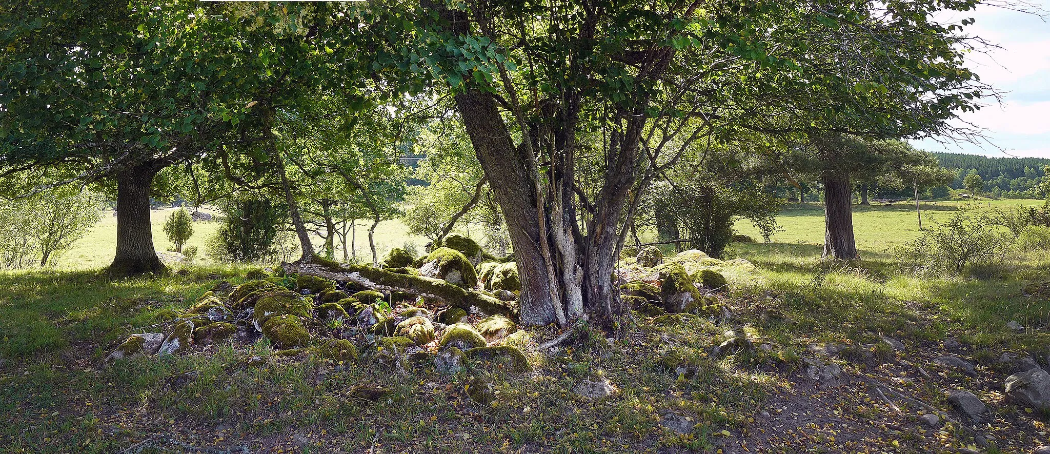 Photo showing: Grave från Early Iron Age