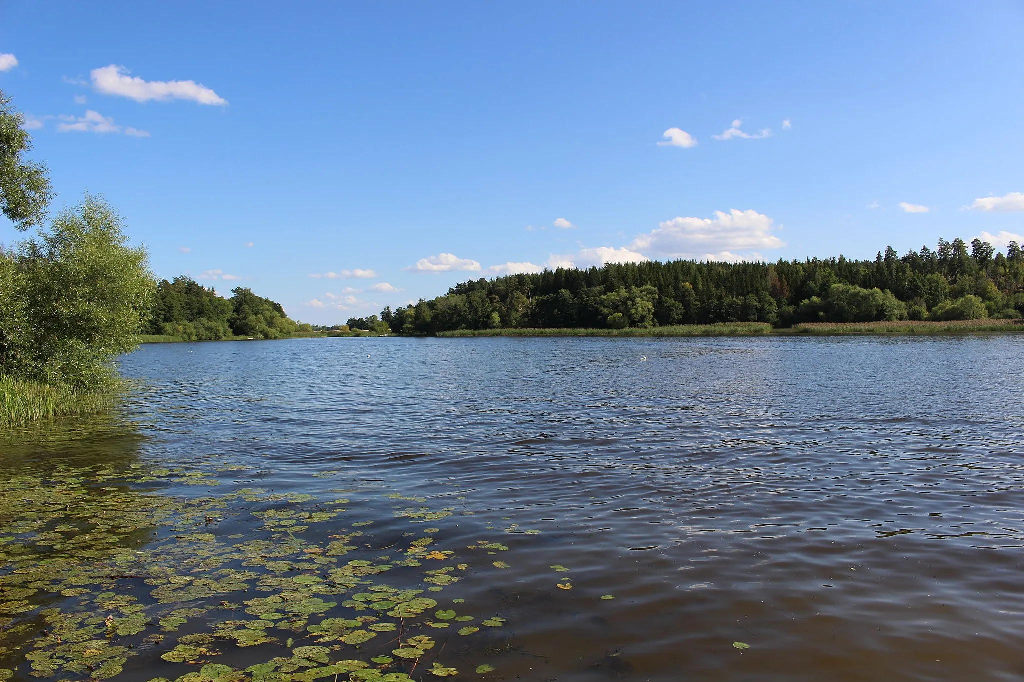 Photo showing: Alsta sjö mot öster.