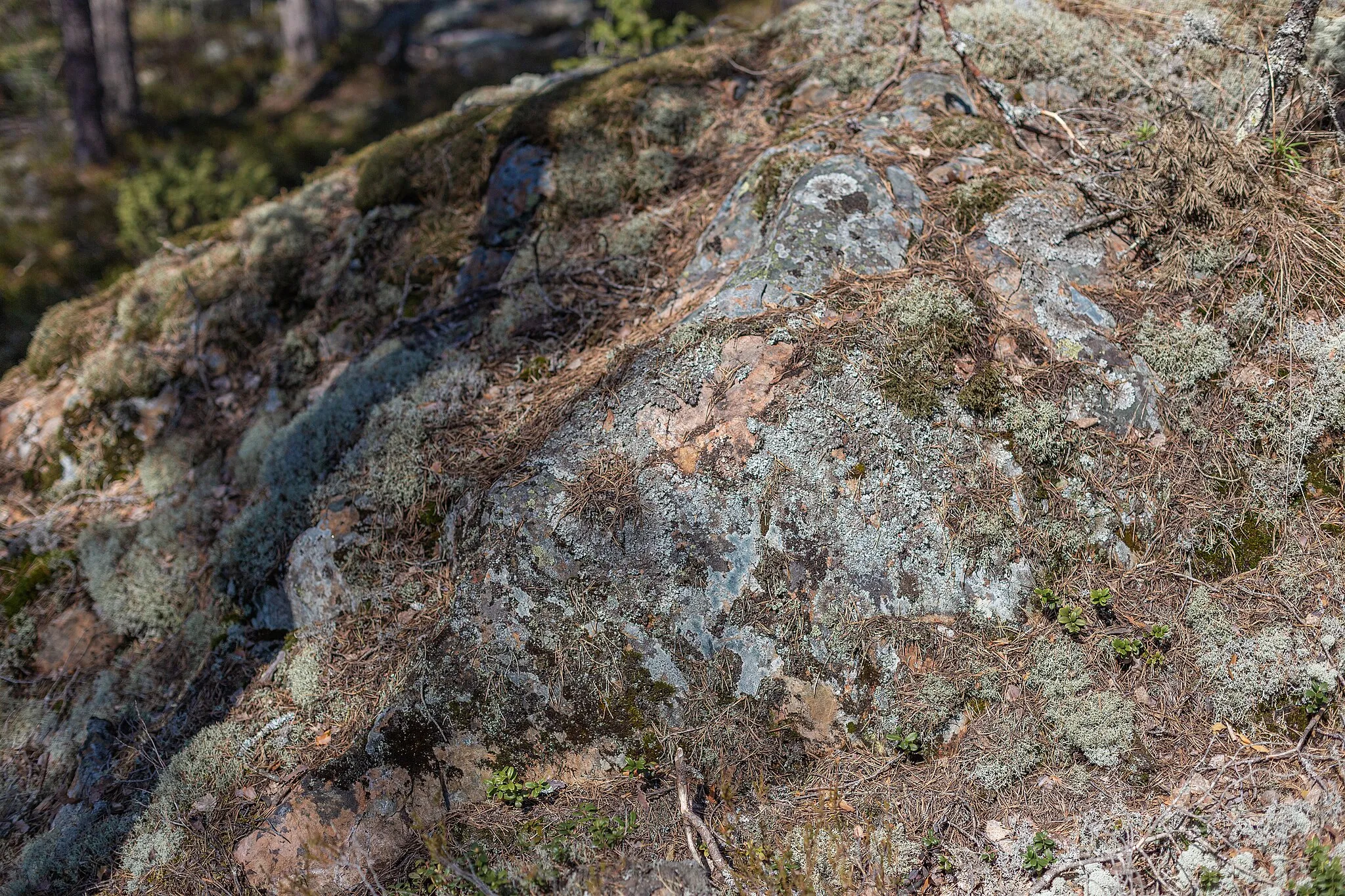 Photo showing: Gåsmyrberget, Norbergs kommun, Västmanlands län, Sverige