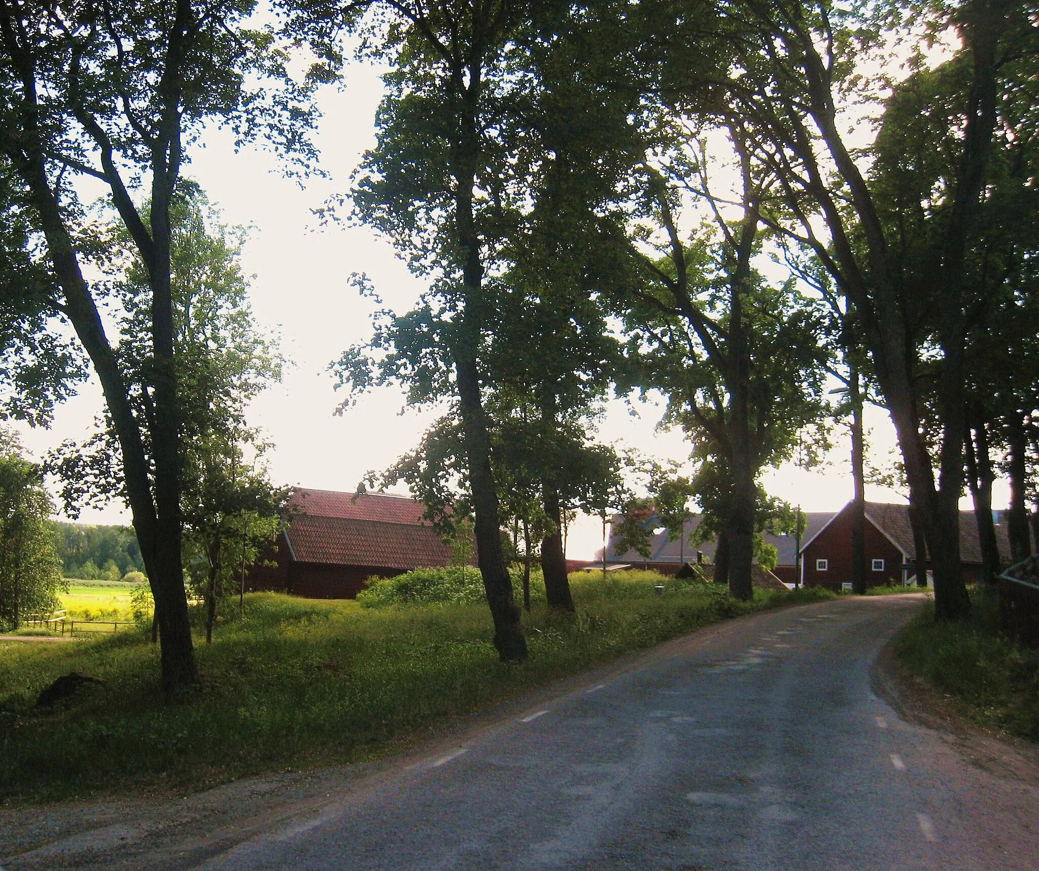 Photo showing: Road through village Lagga, Uppsala Municipality