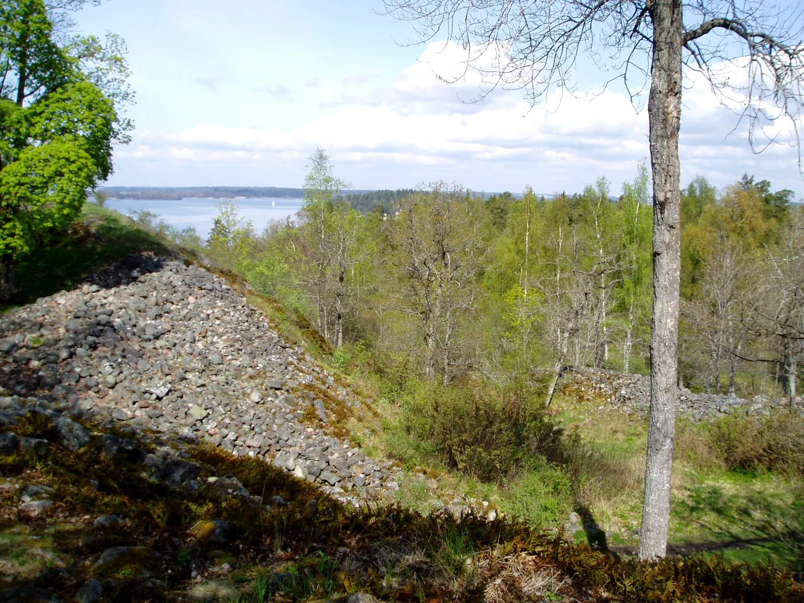 Photo showing: Gåseborg fornborg, hill fort, Järfälla municipality, Sweden