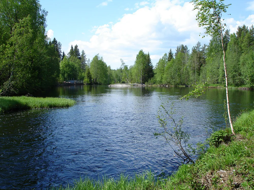 Photo showing: The outlet of River Pålböleån into River Sävarån, Västerbotten county, Sweden.
