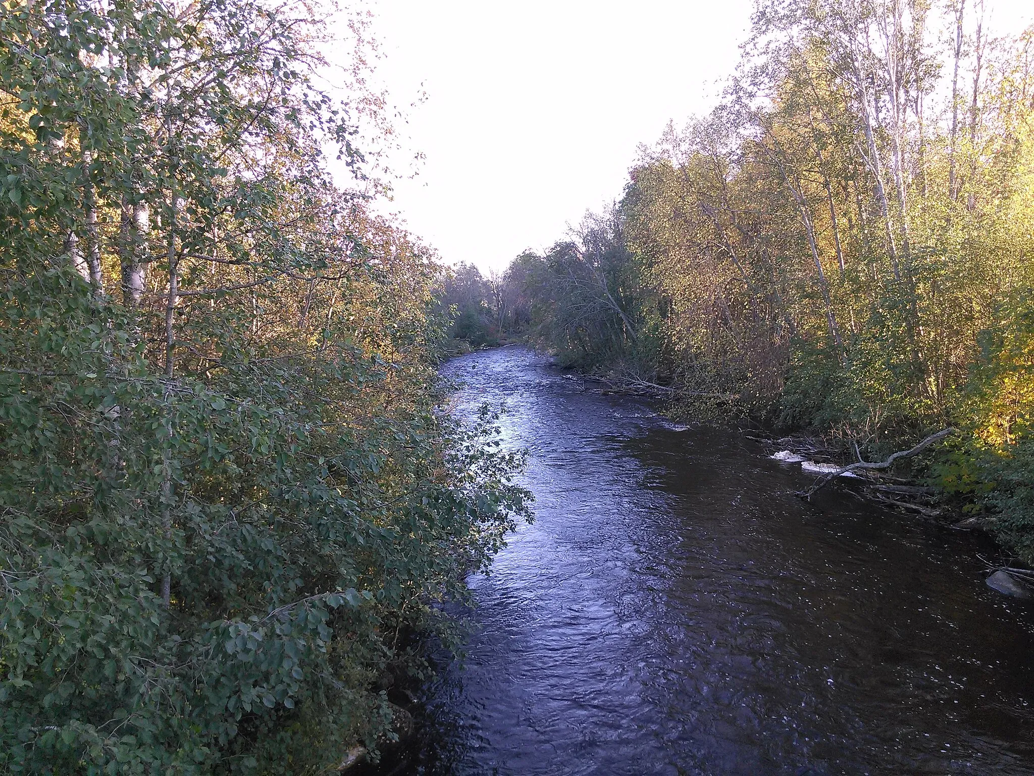 Photo showing: Fällforsån ifrån en bro i Ersmark.