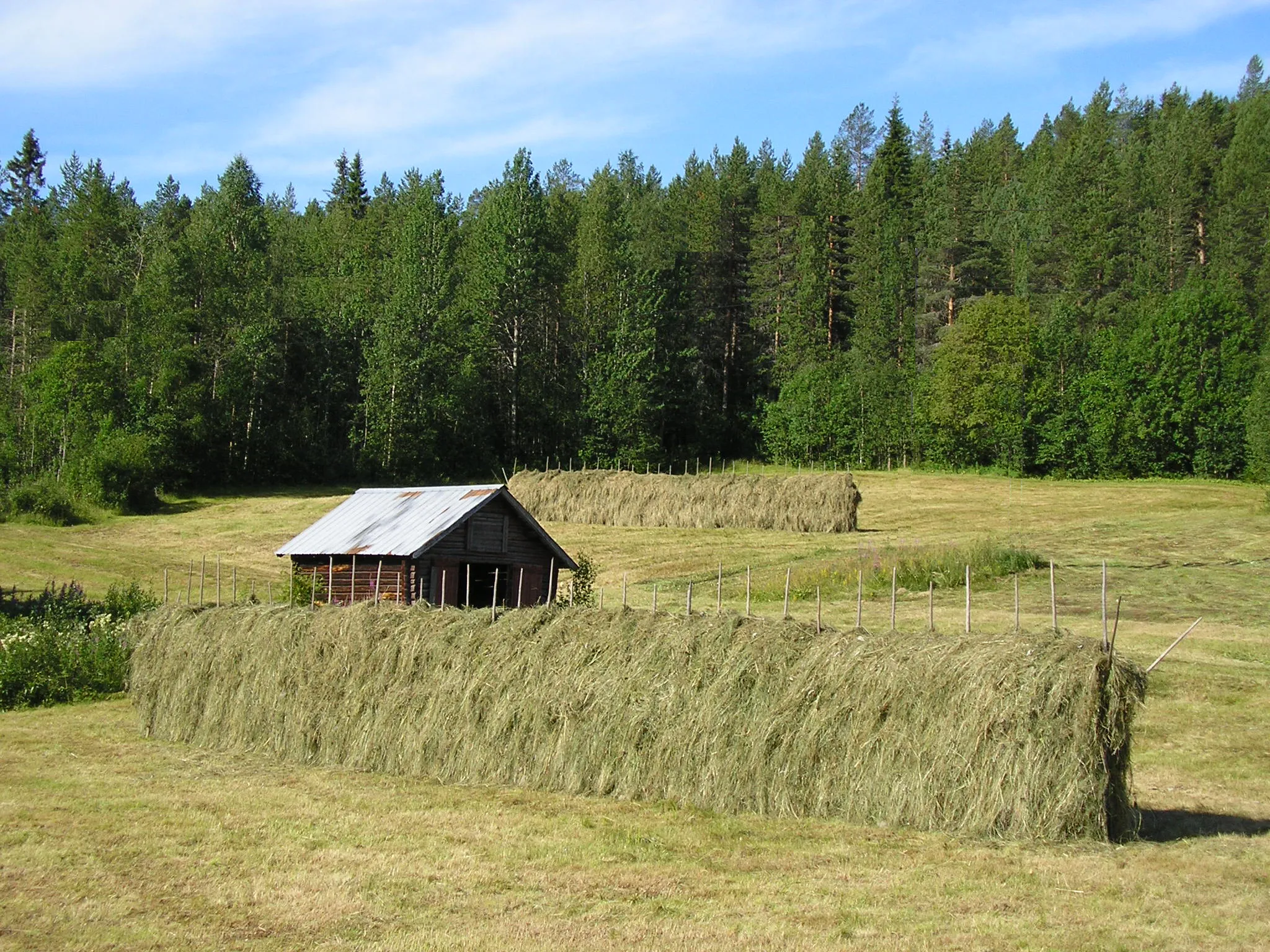 Photo showing: Heinärakenus